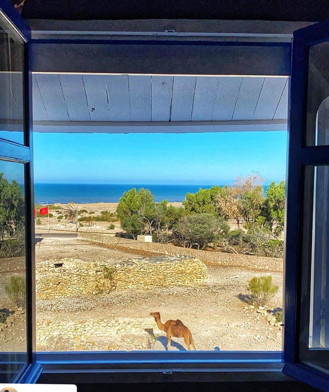 Double Room with Sea View photo 3