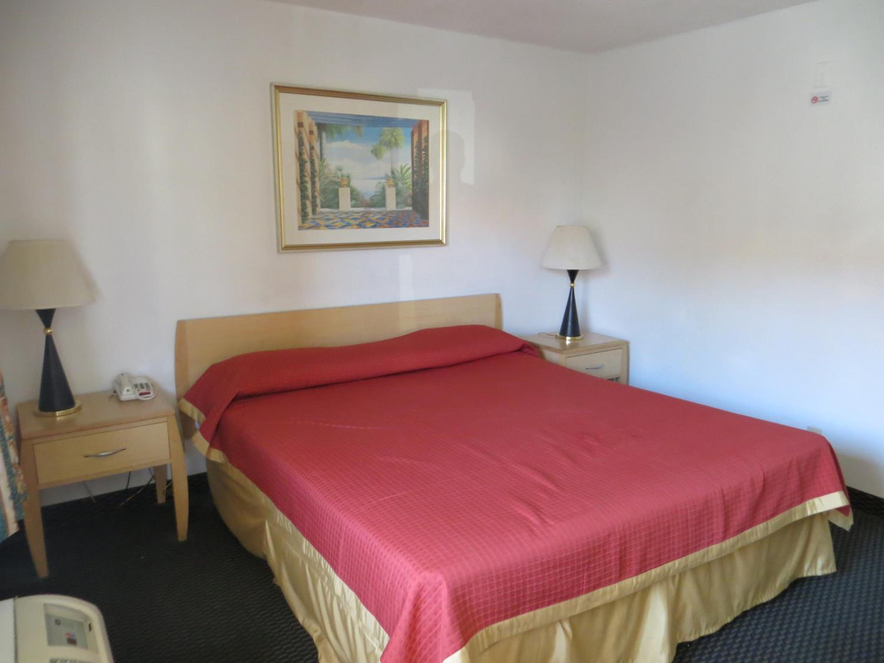 Single Room - Disability Access photo 1