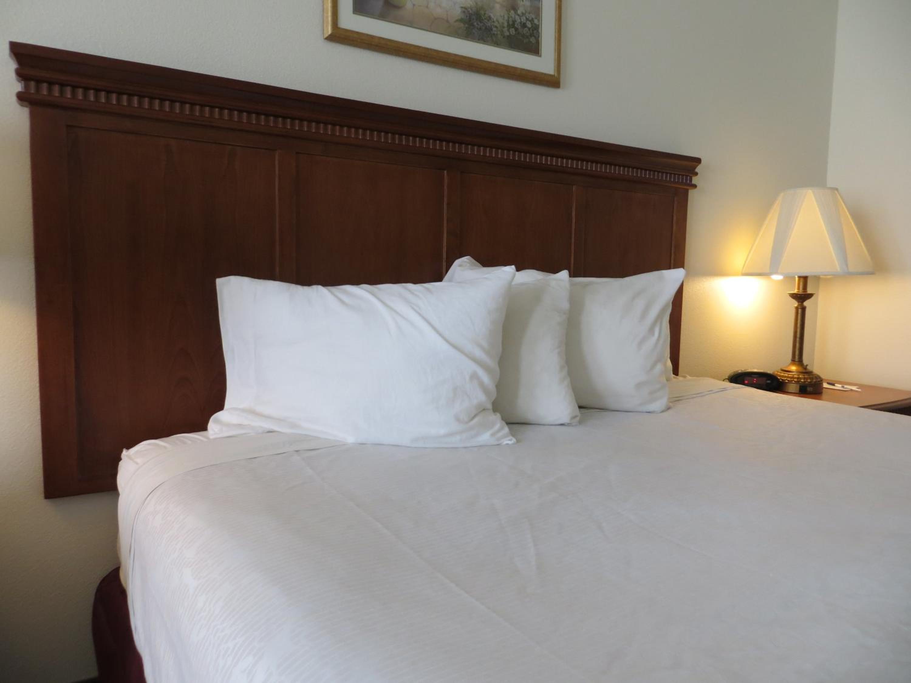 Queen Room with Sofa Bed and Roll-In Shower - Disability Access - Photo 2