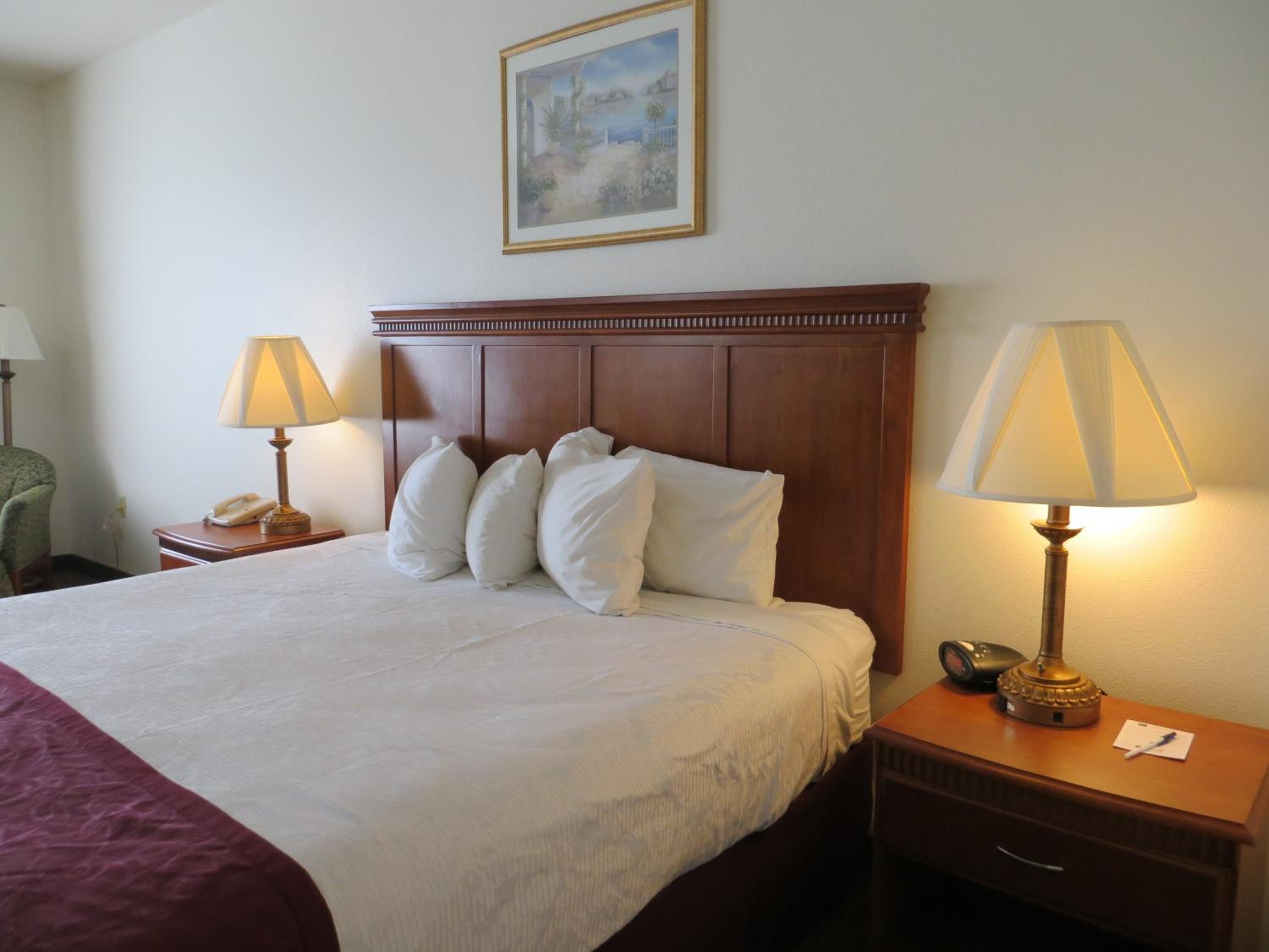 King Suite with Sofa-Bed - Non-Smoking - Photo 2