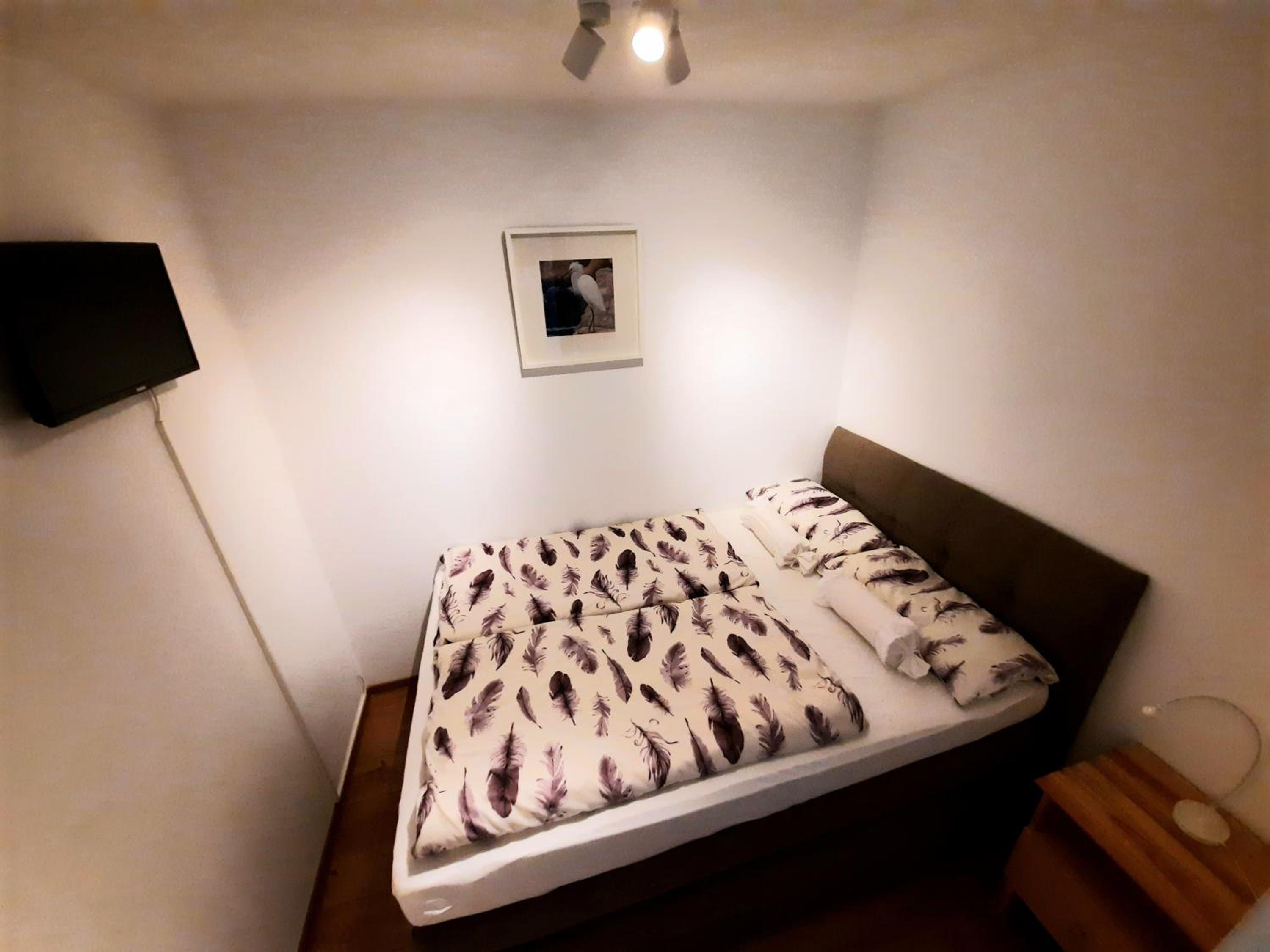 One-Bedroom Apartment photo 2