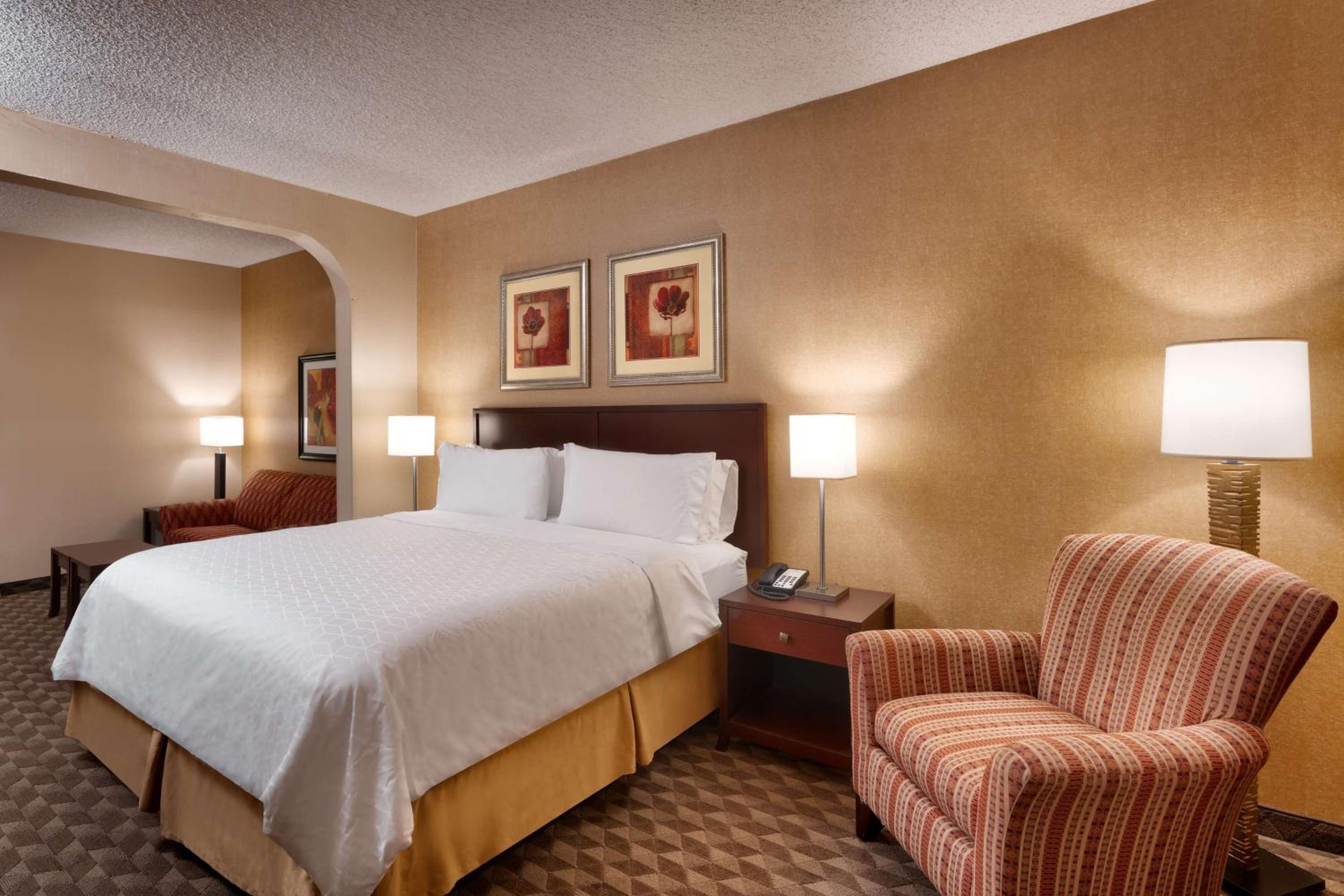 King Suite with Sofa Bed - Non-Smoking - Photo 4