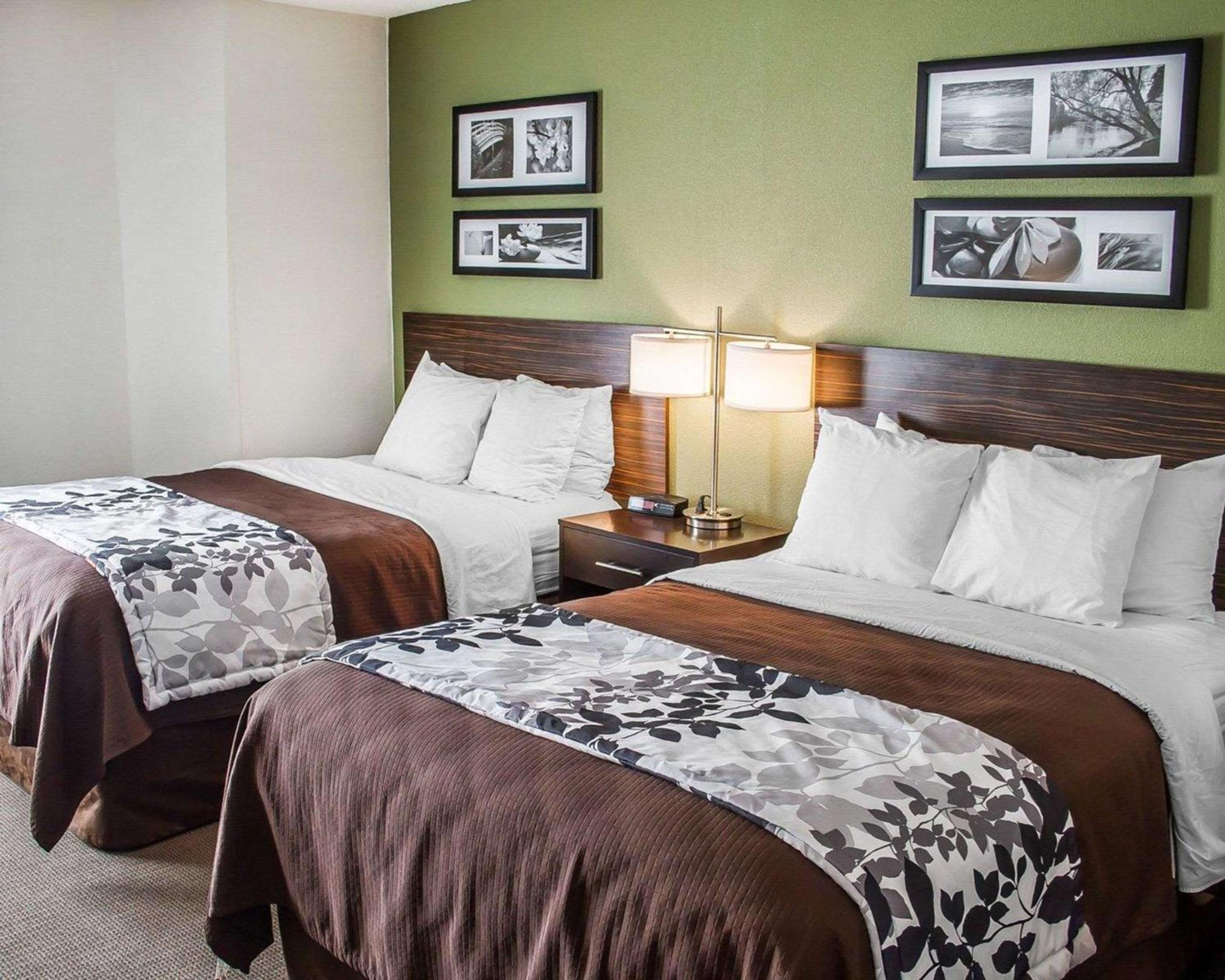 Double Room With Two Double Beds - Pet Friendly - Photo 2