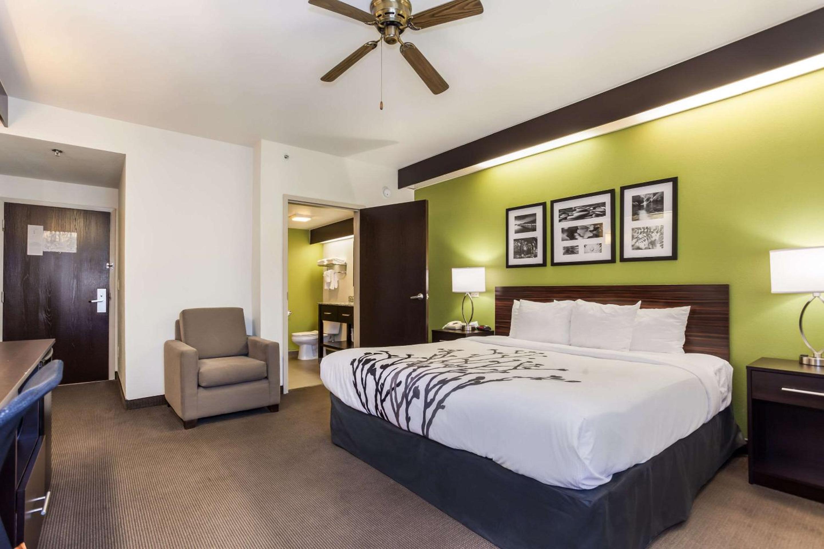 King Room - Non-Smoking - Photo 3
