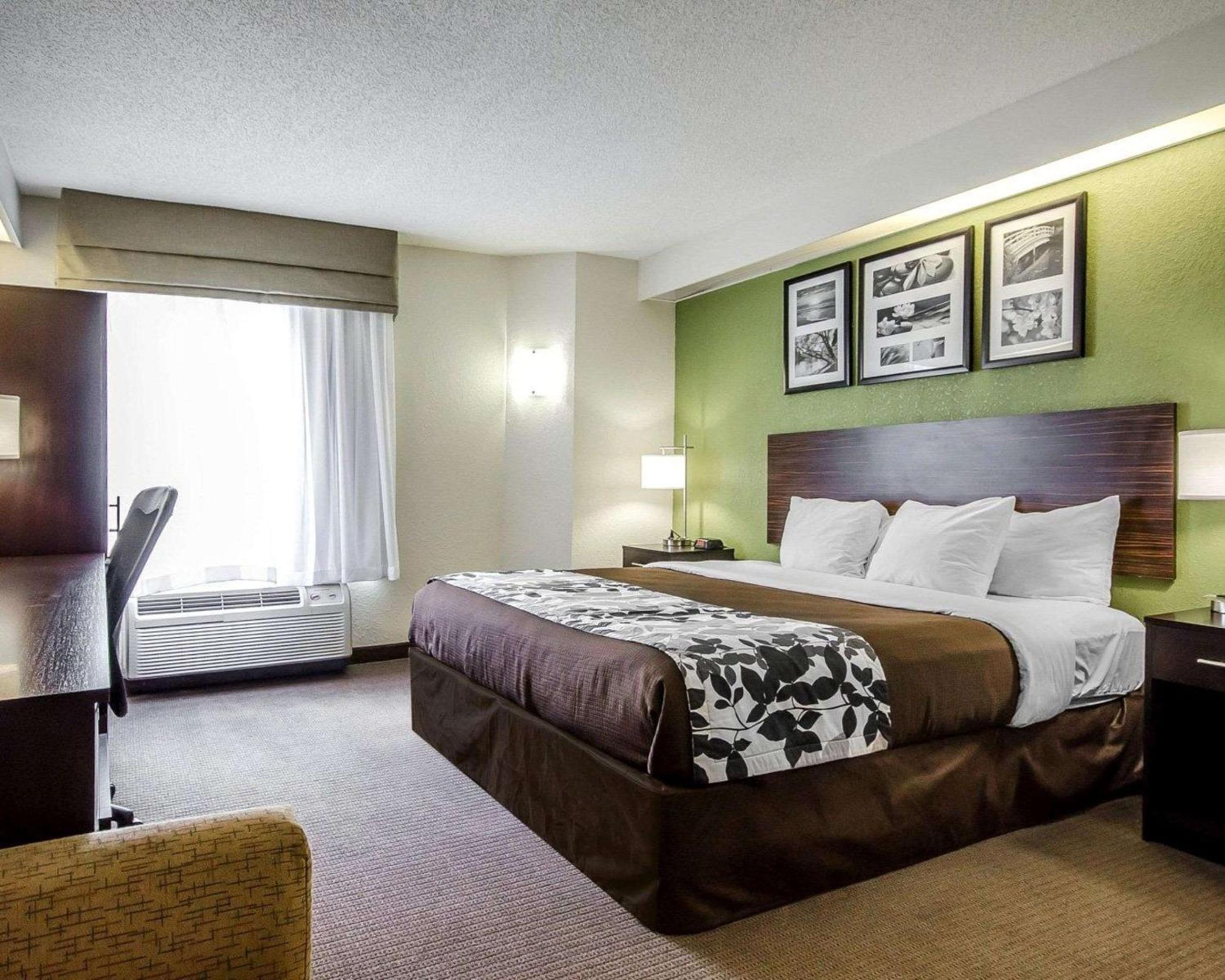 King Room - Photo 5