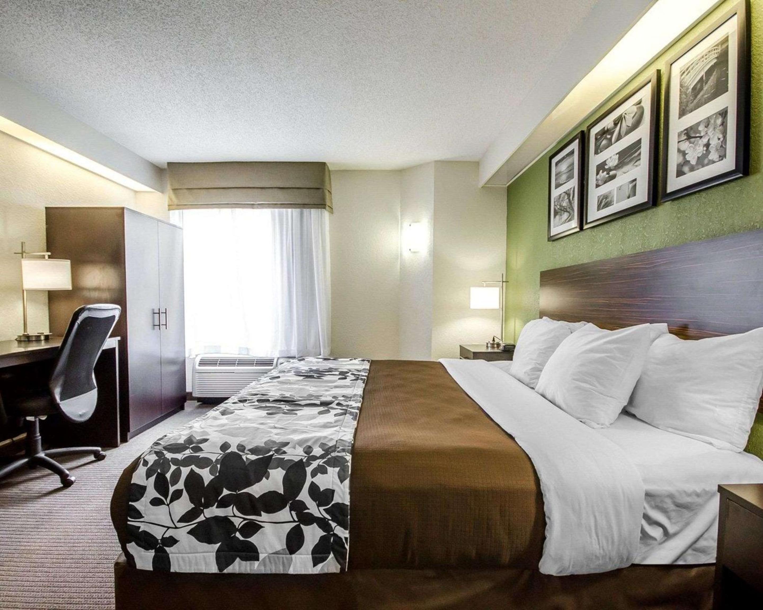 King Room - Photo 3