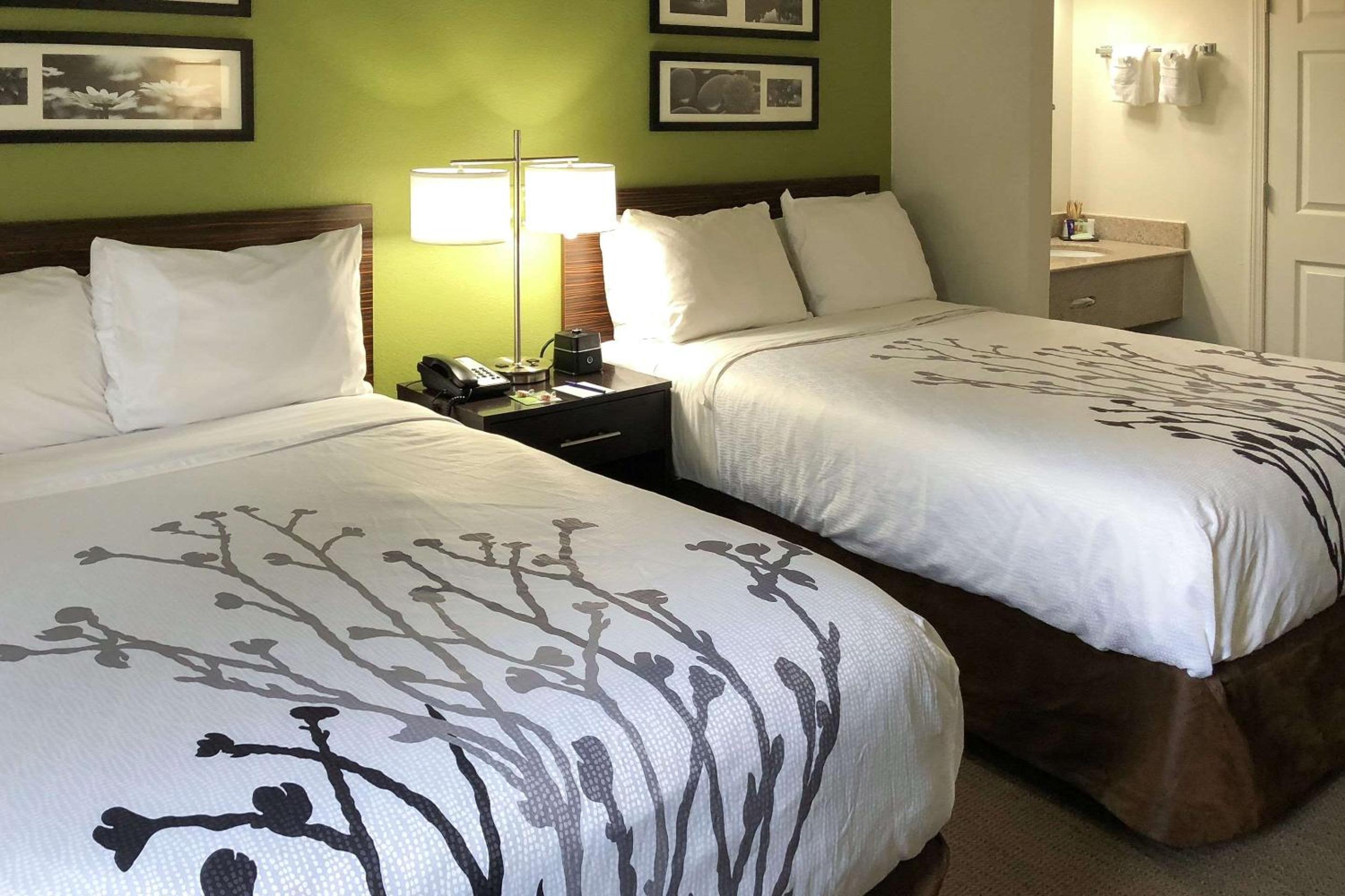 Superior Double Room With Two Double Beds - Non-Smoking/ Ultra Clean photo 1