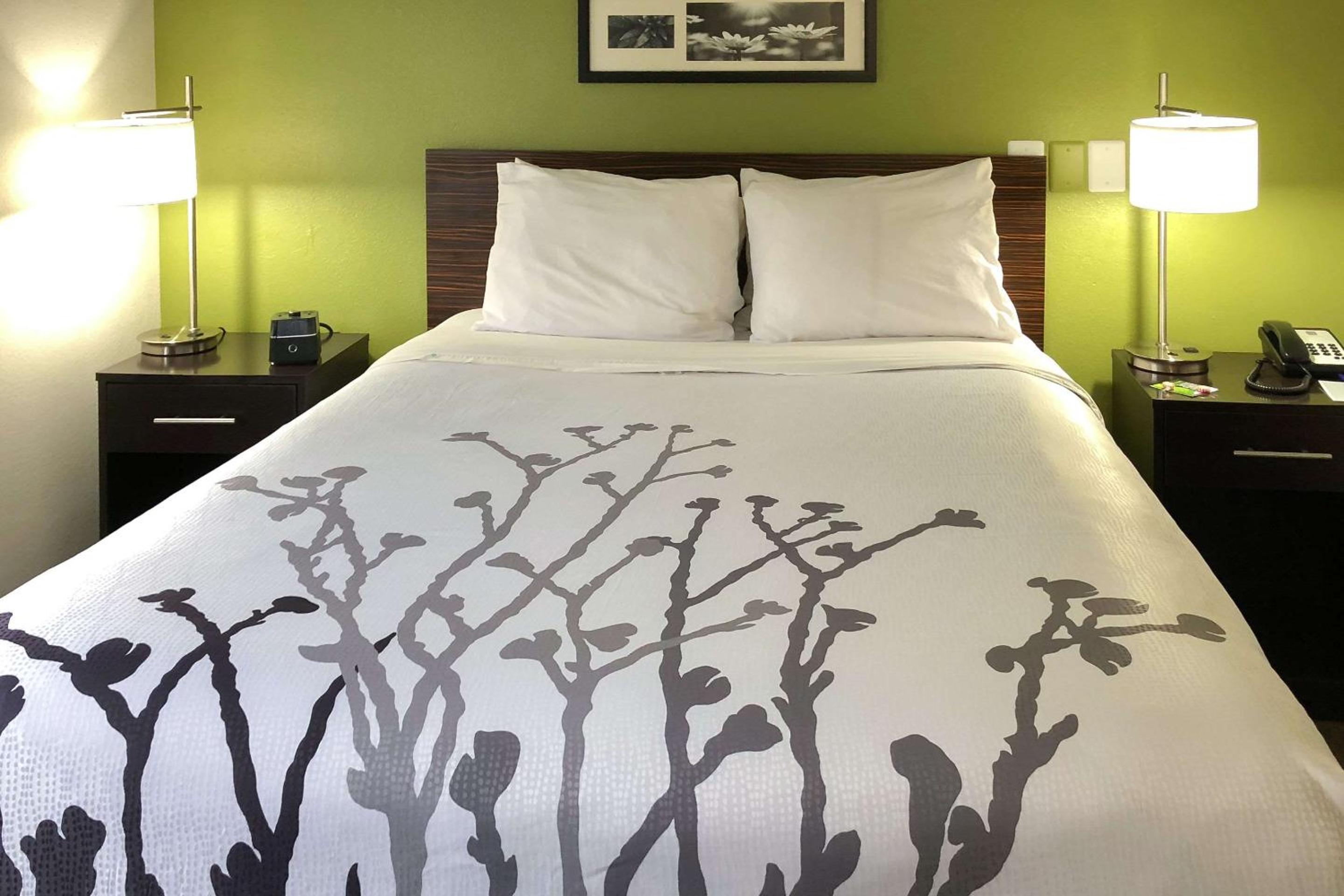 Superior Queen Room - Disability Access/Non-Smoking photo 1