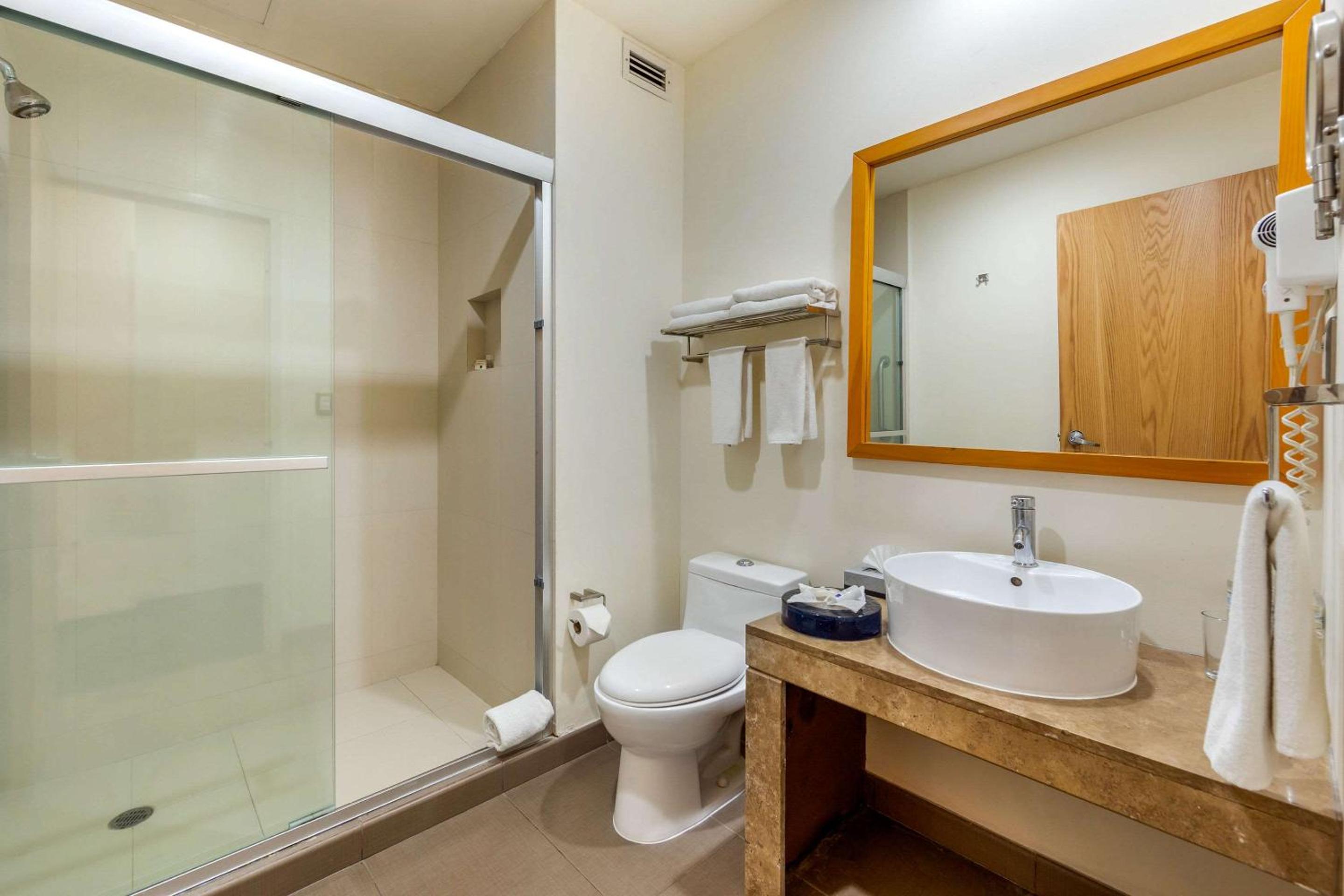 Standard Twin Room photo 3