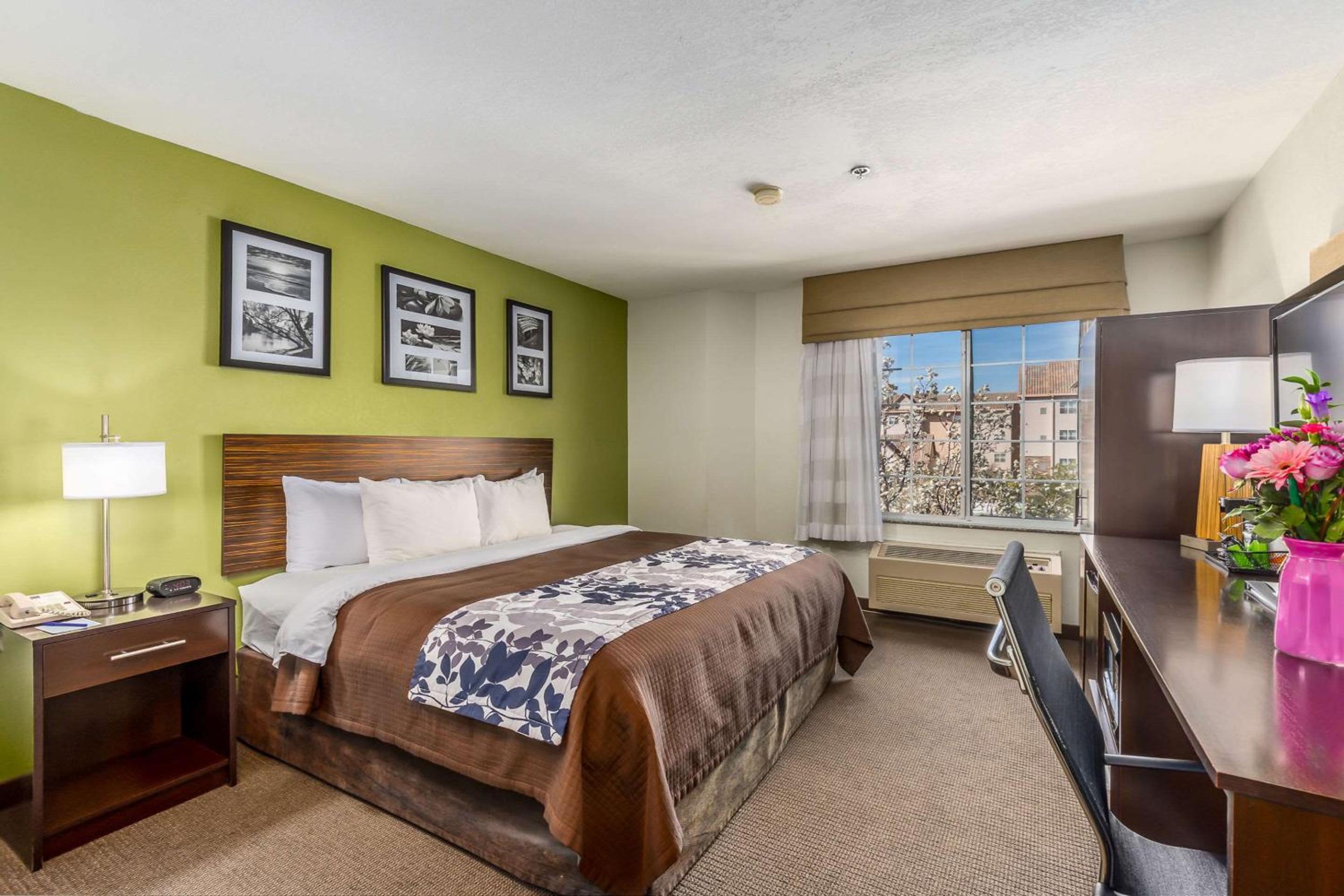 Premium King Room photo 1