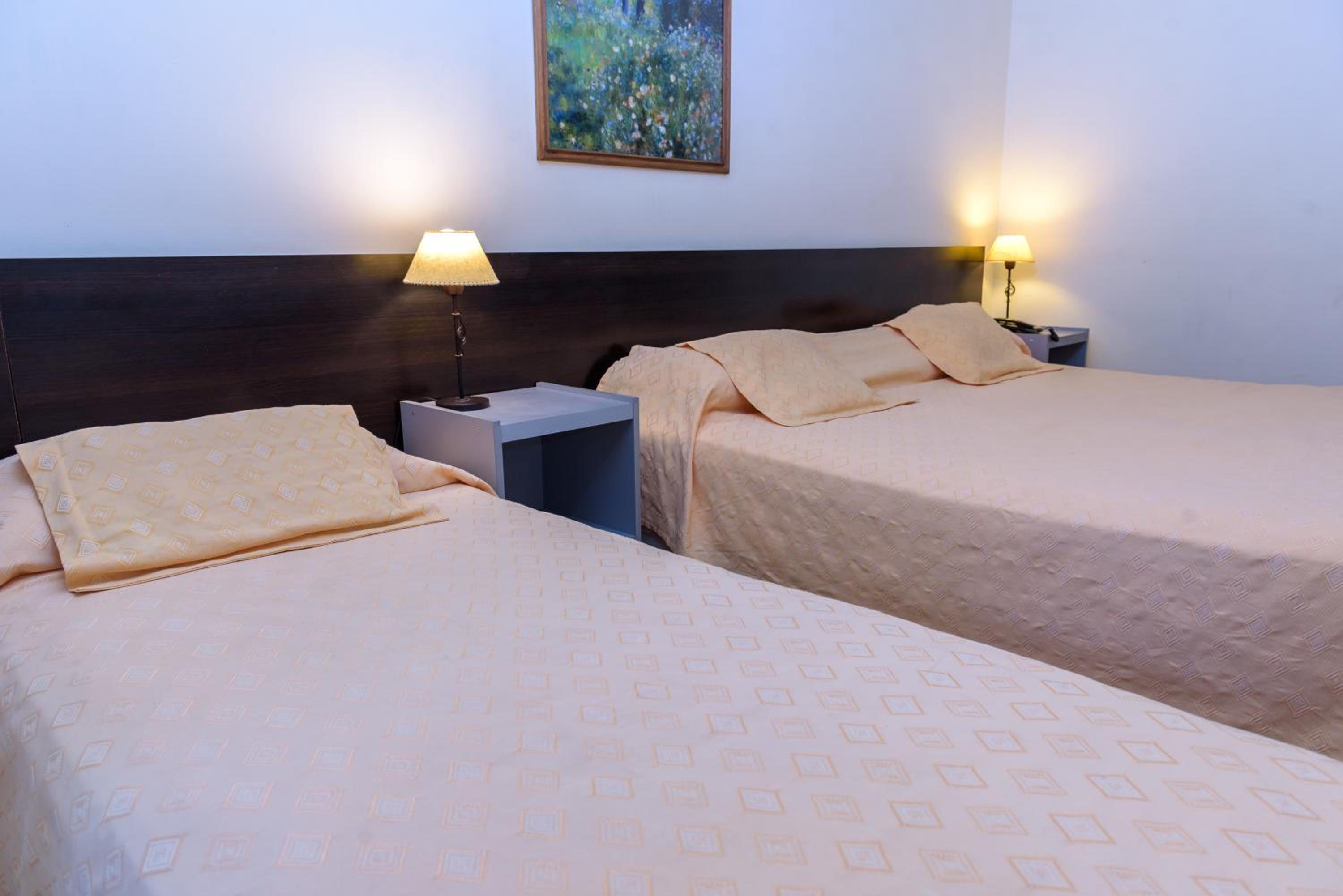 Standard Double or Twin Room photo 1