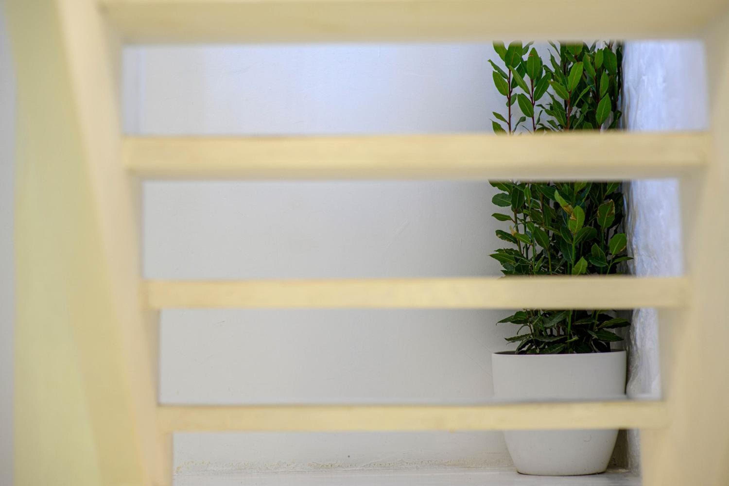 Apartment with Balcony and Sea View - Photo 33