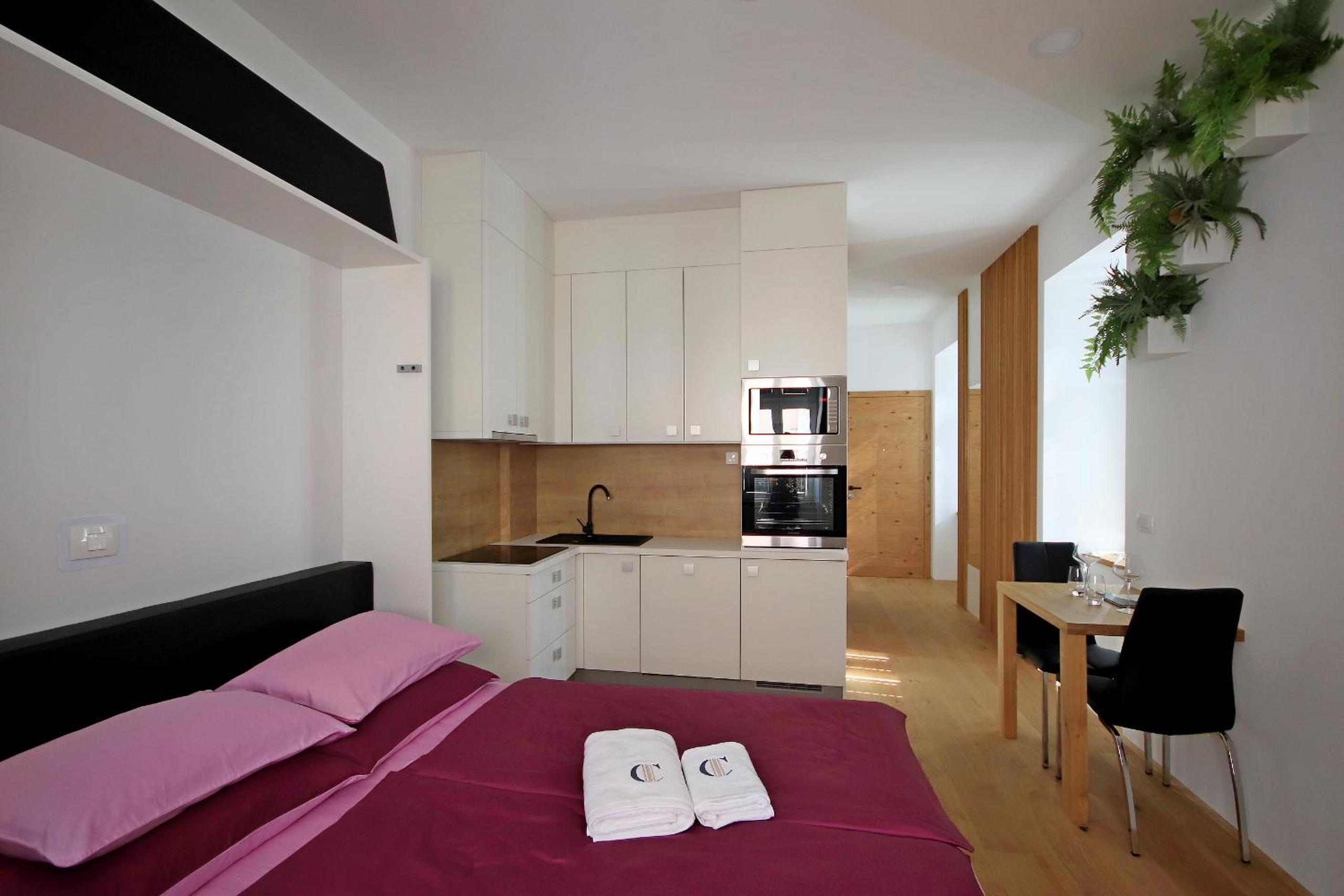 Studio Apartment - Photo 4