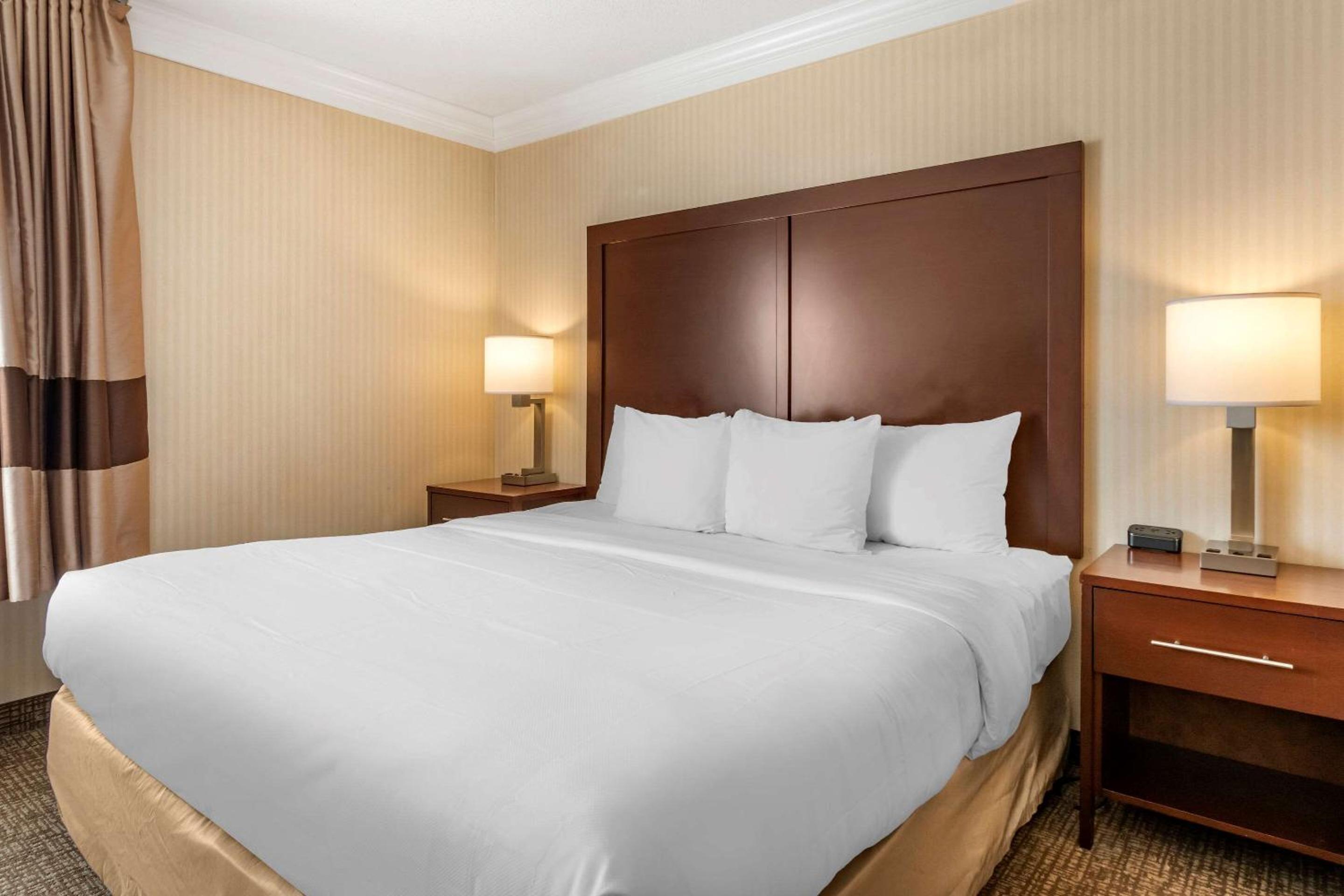 King Suite - Disability Access/Non-Smoking - Photo 5