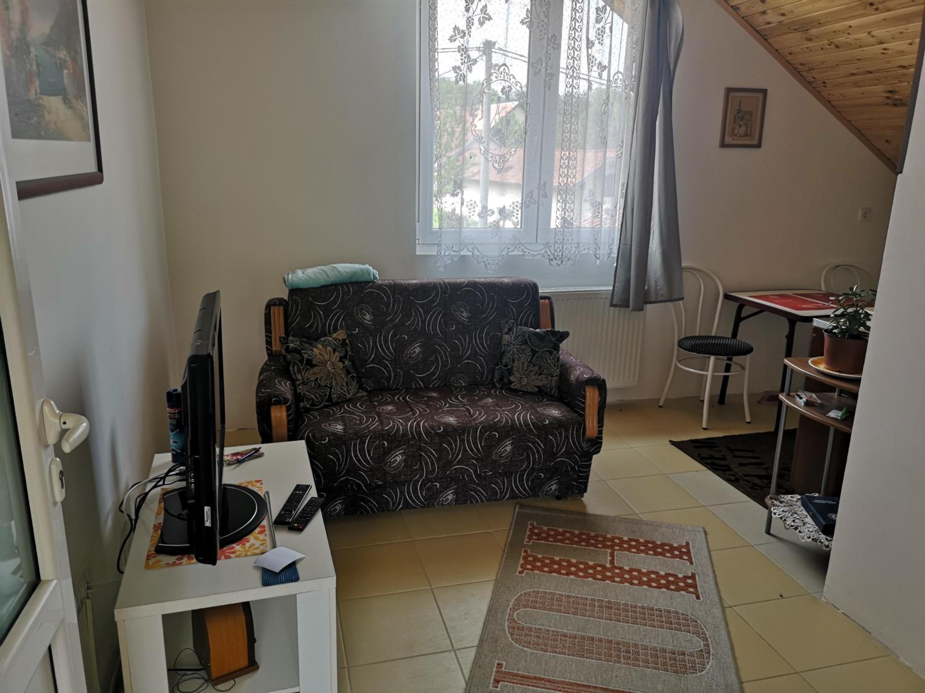 One-Bedroom Apartment photo 3