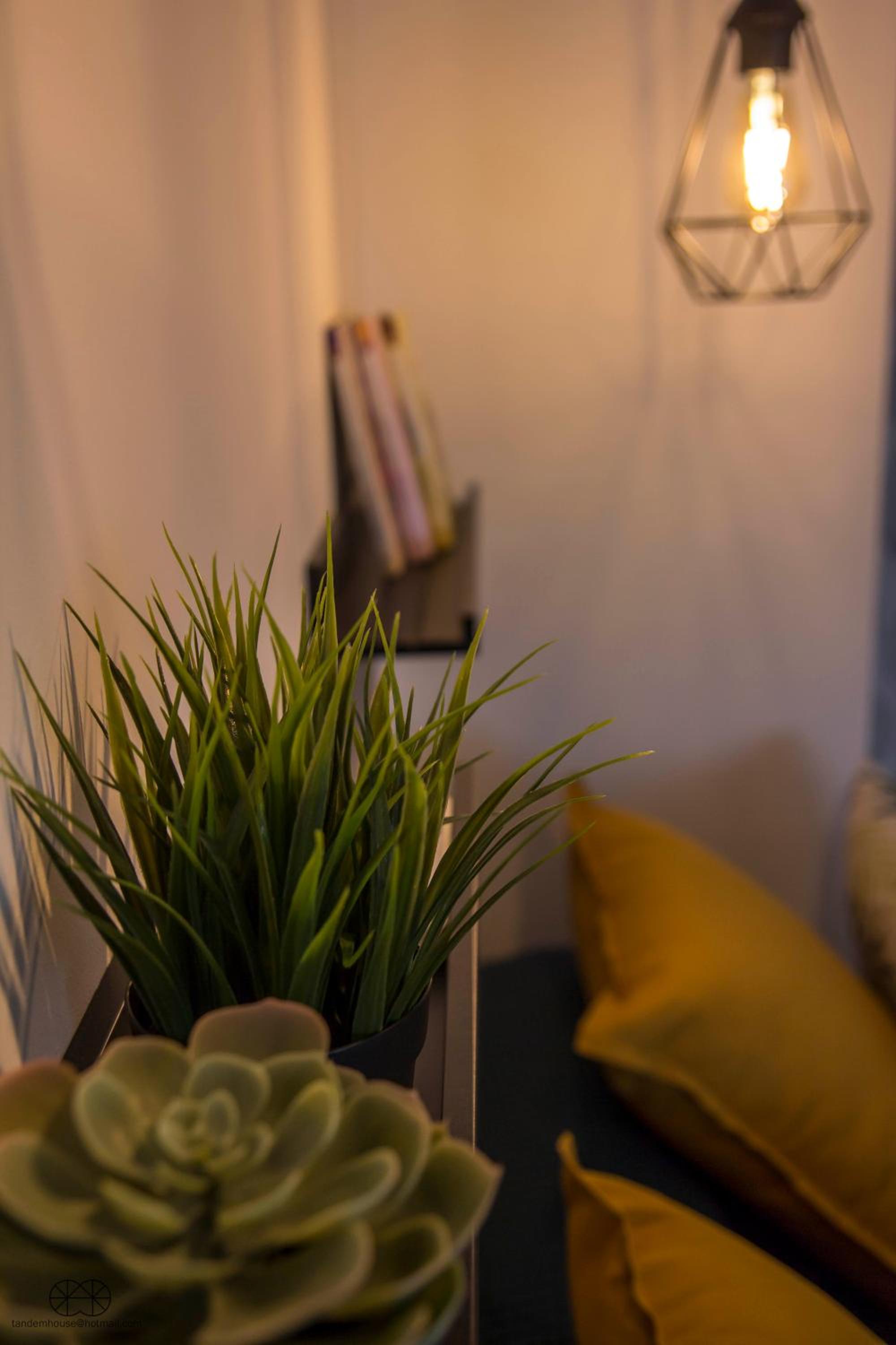 One-Bedroom Apartment - Photo 4