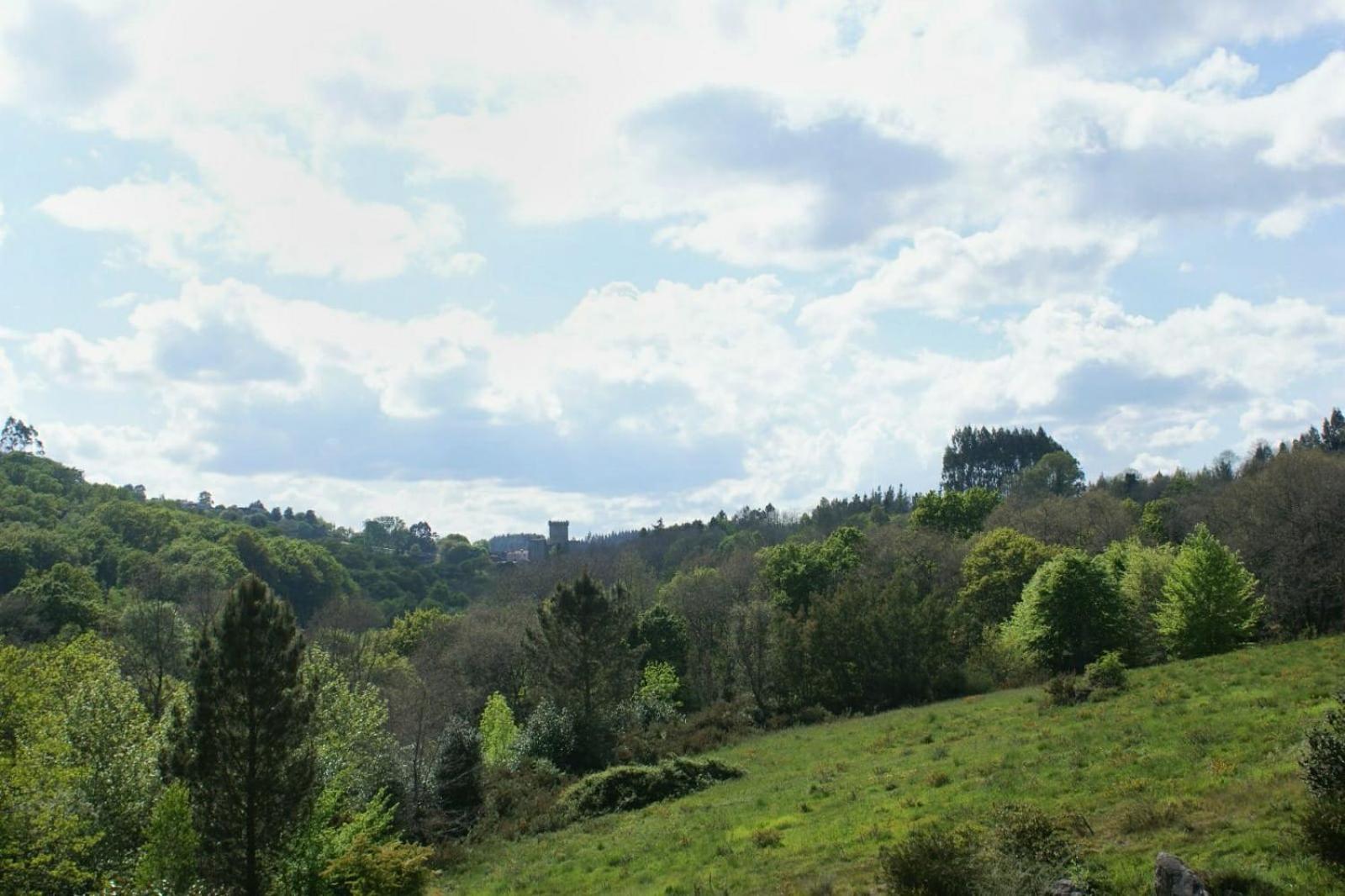 Deluxe Double Room with Castle View