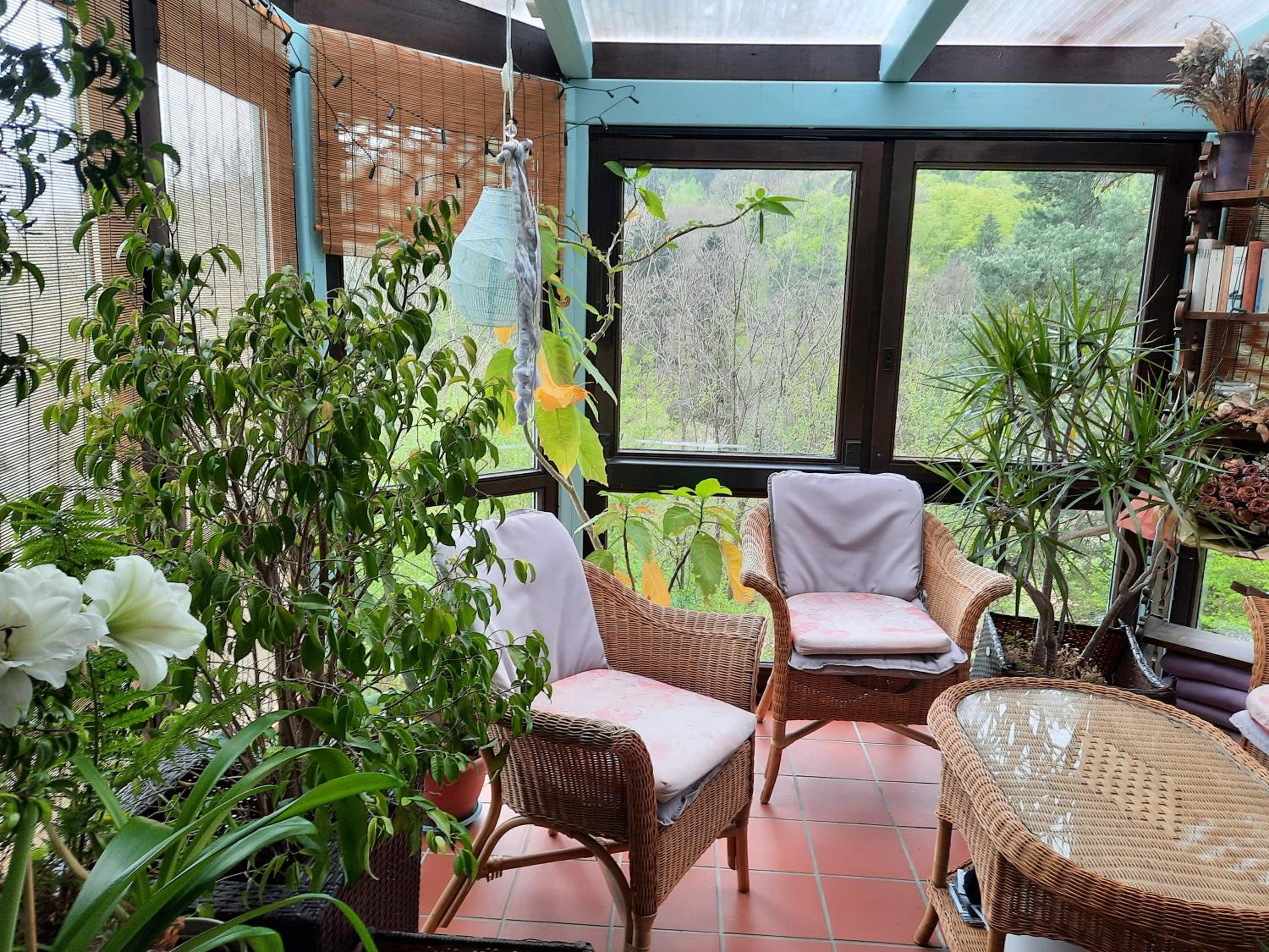 Apartment with Terrace photo 3