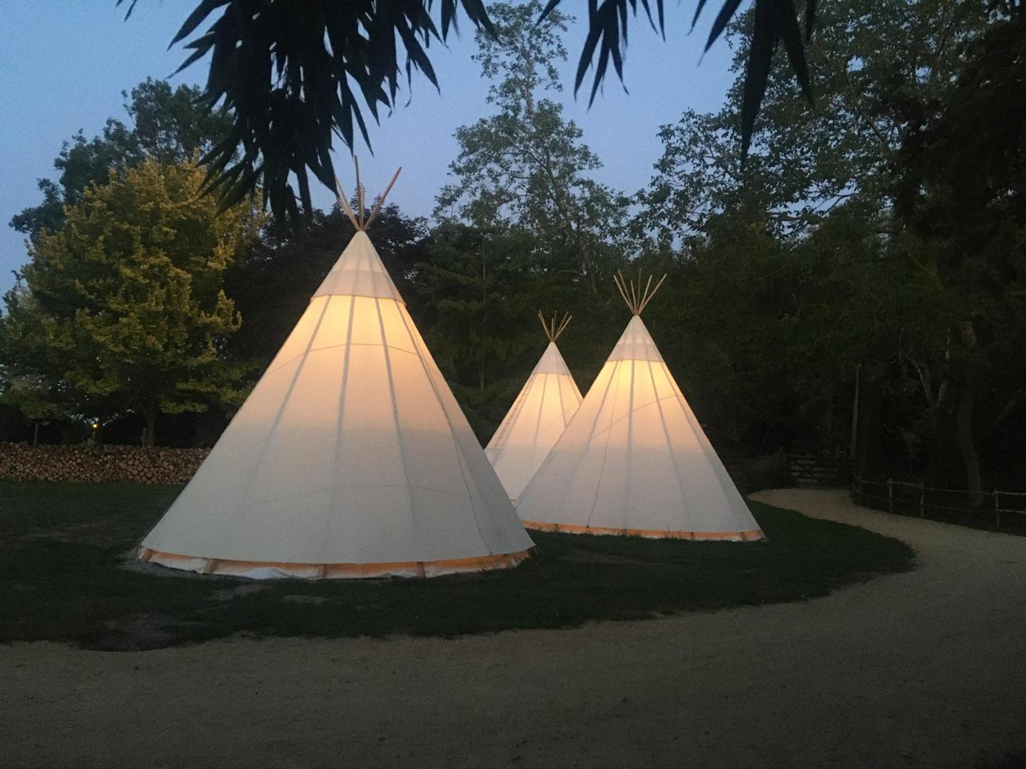 Tent photo 3