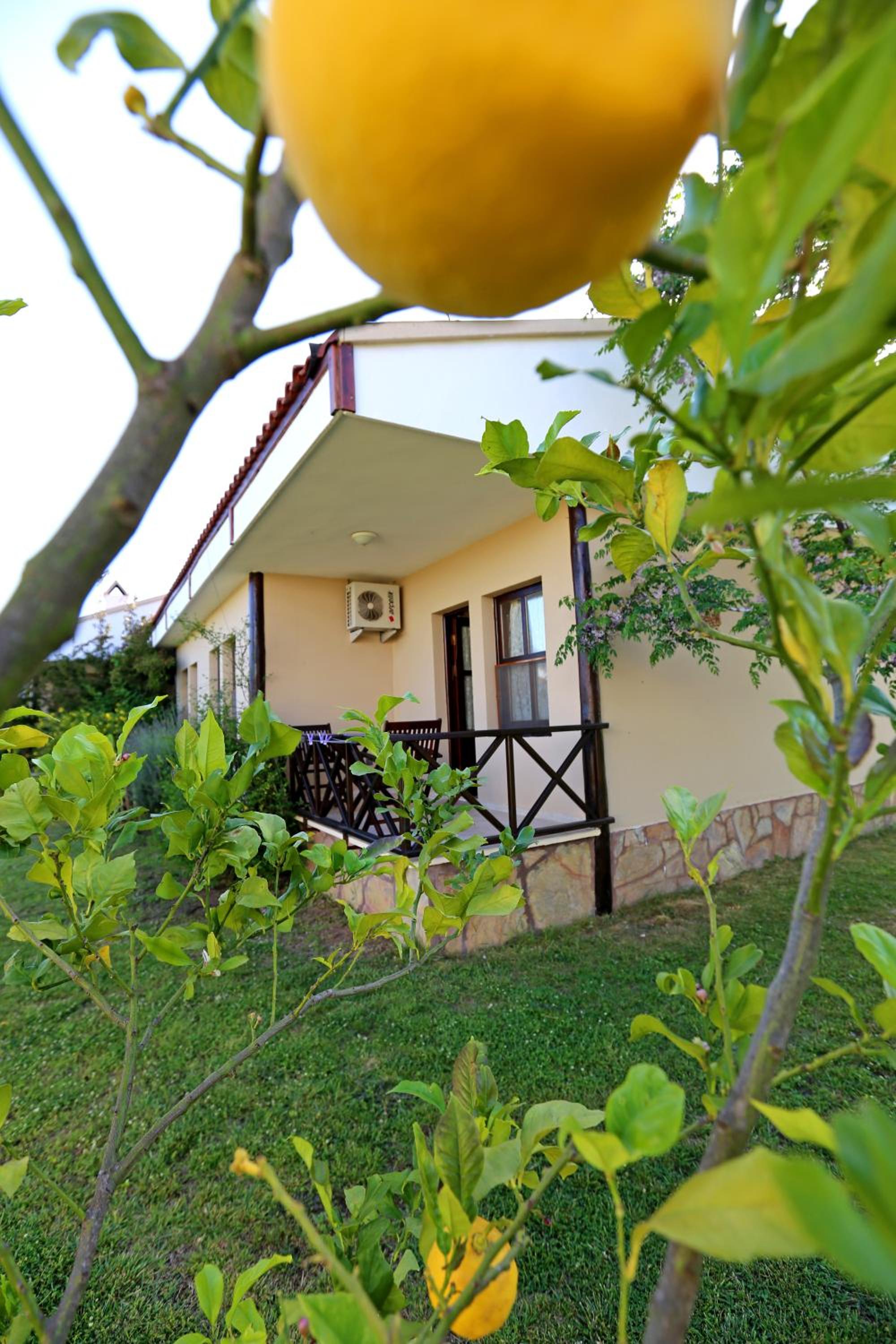 Double Room with Garden View - Photo 1
