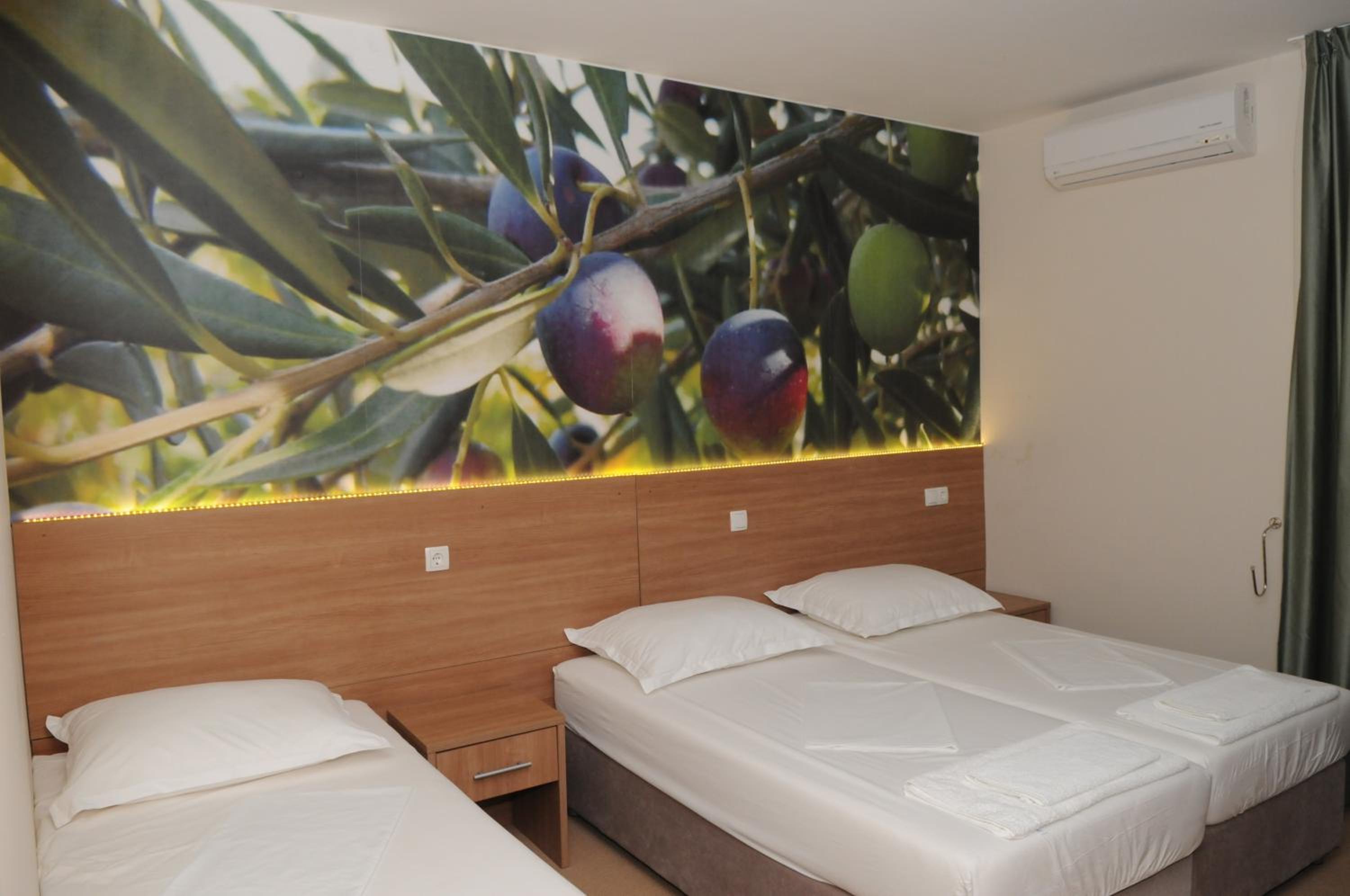 Single Room - Disability Access photo 2