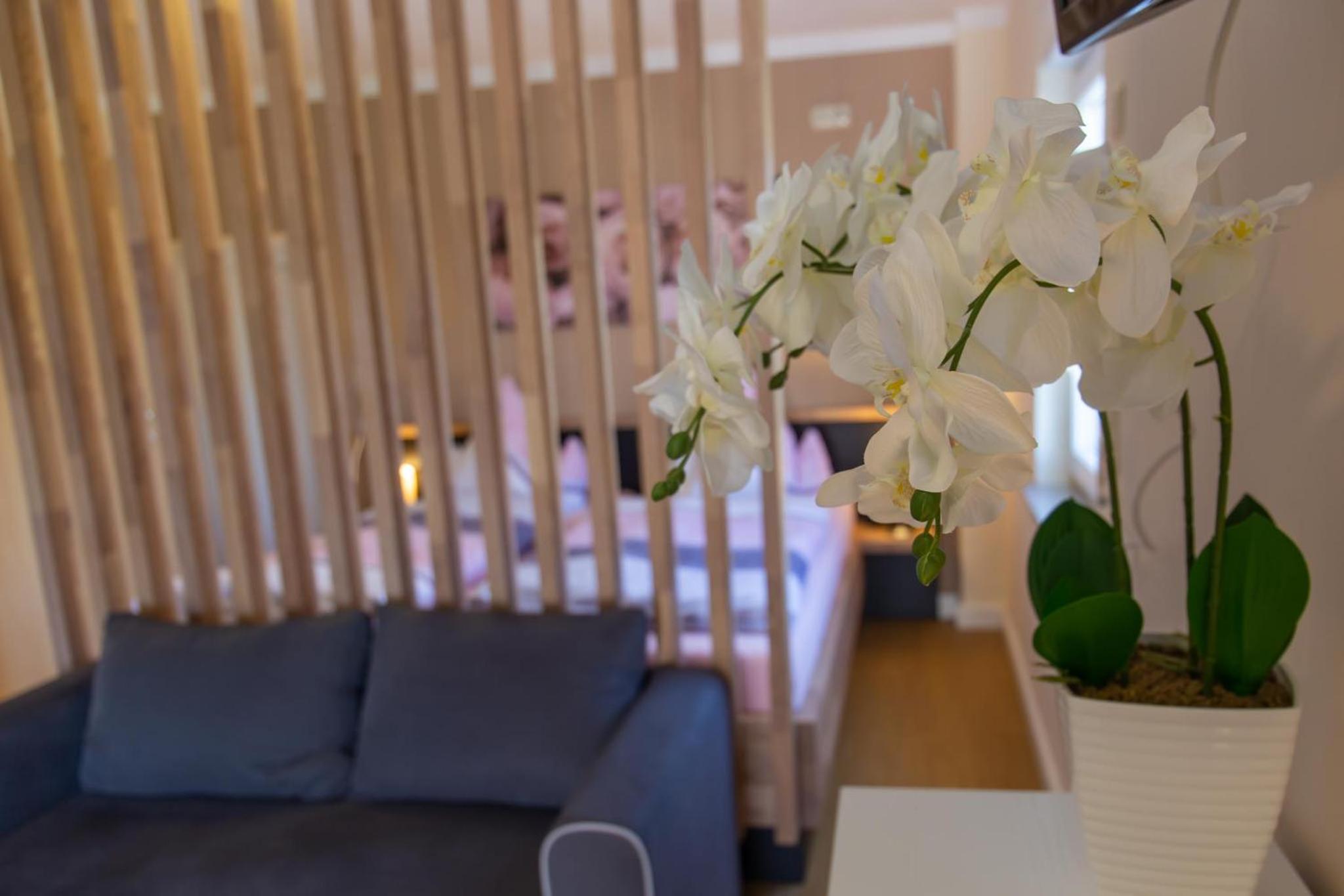 Apartment with Terrace photo 1