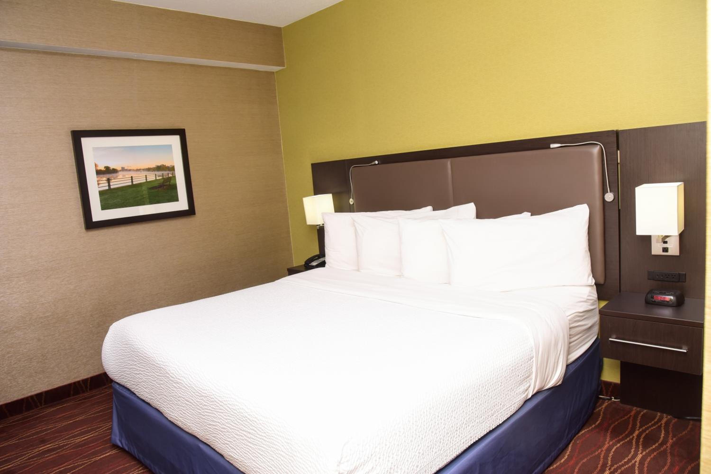 Deluxe King Suite - Non-Smoking - Photo 1
