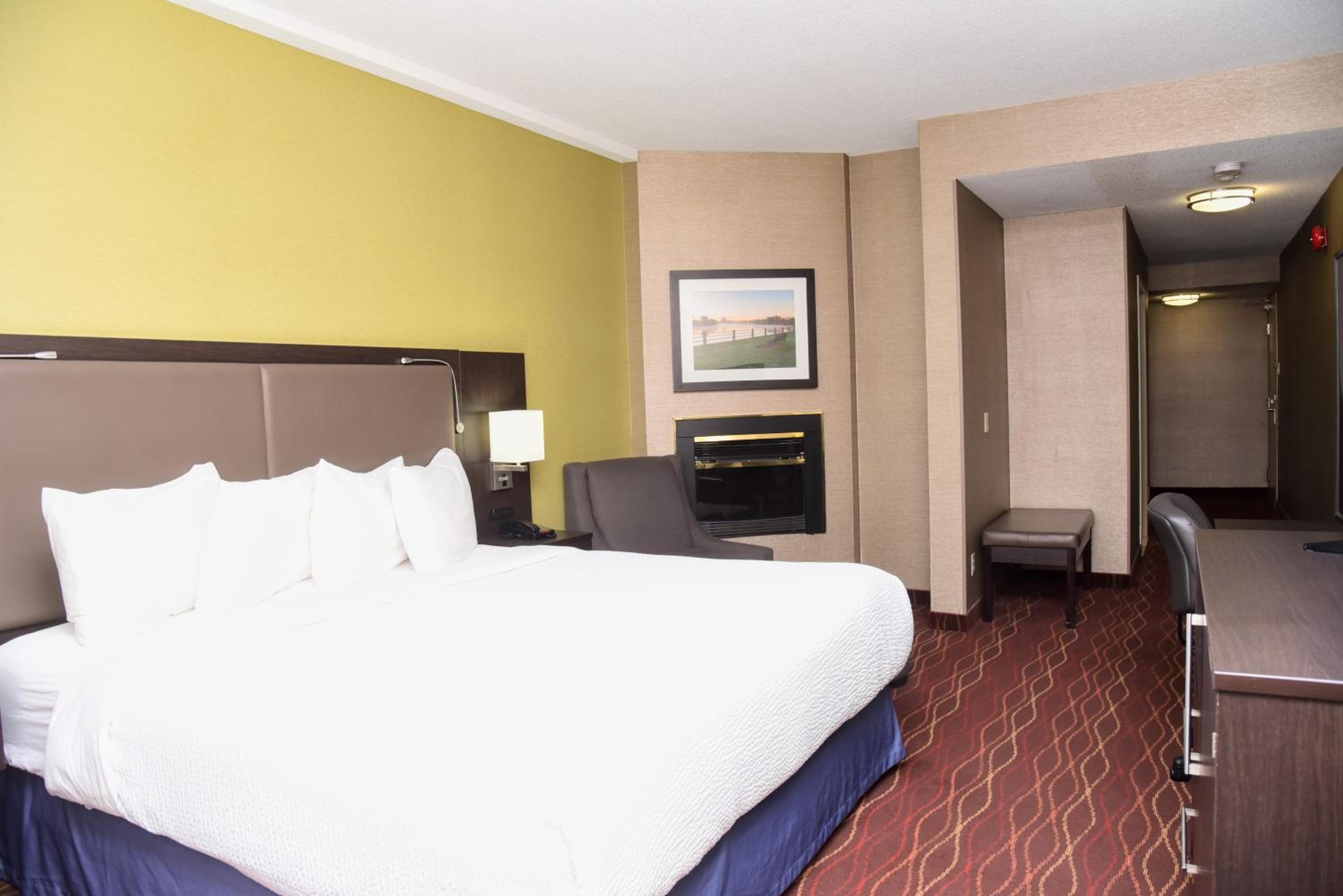 1 King Bed, Premium Suite, Non-Smoking - Photo 4