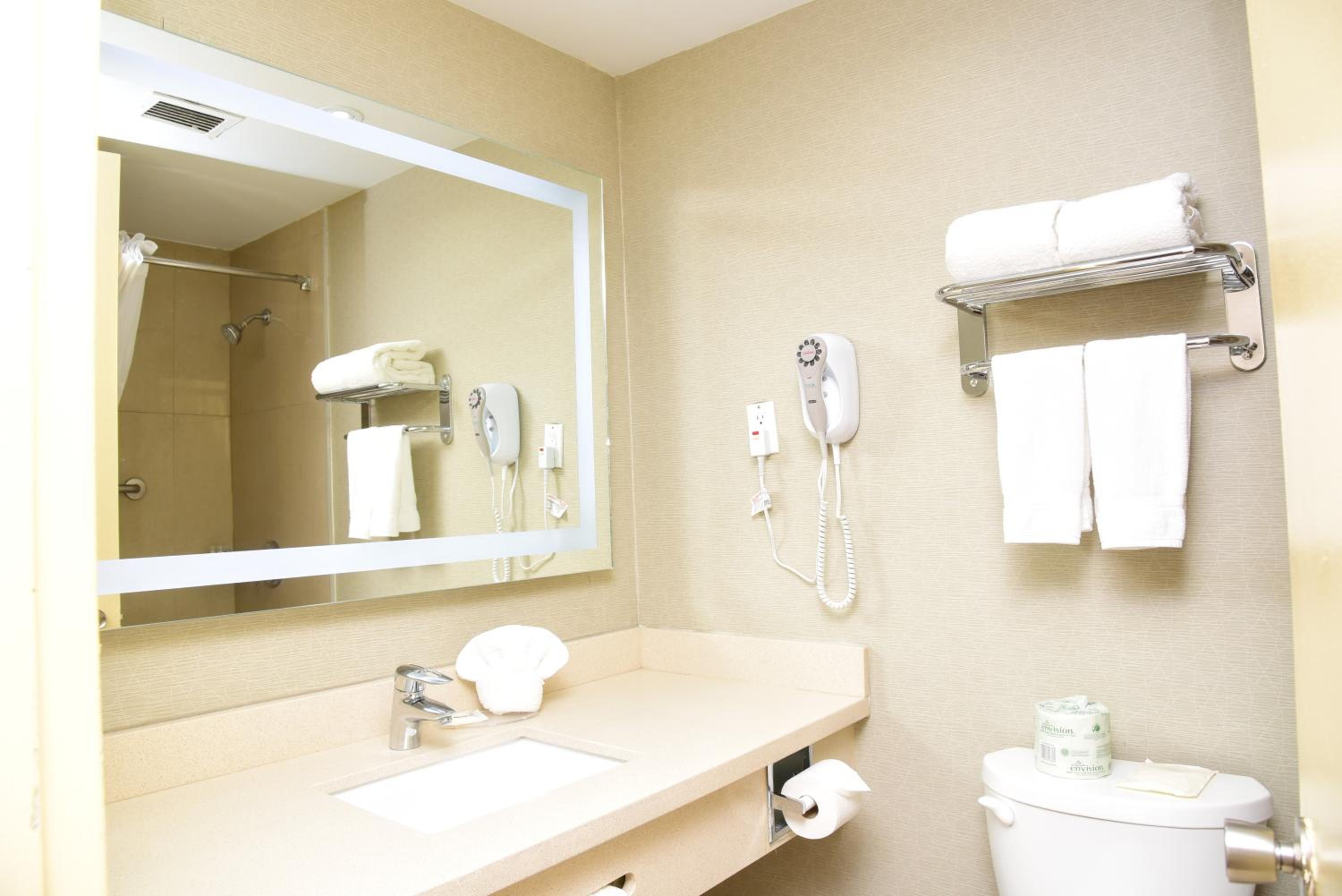 Deluxe King Suite - Non-Smoking - Photo 2