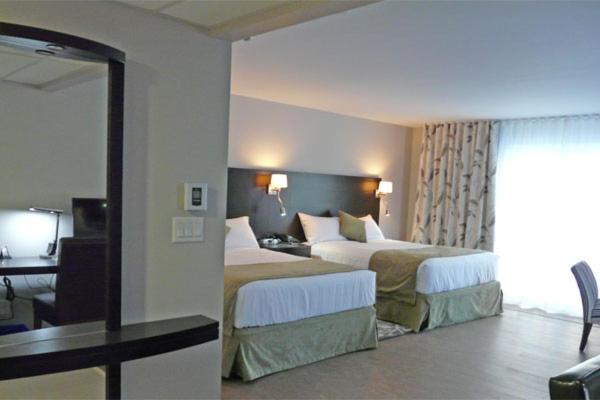 Double Room with Terrace photo 1