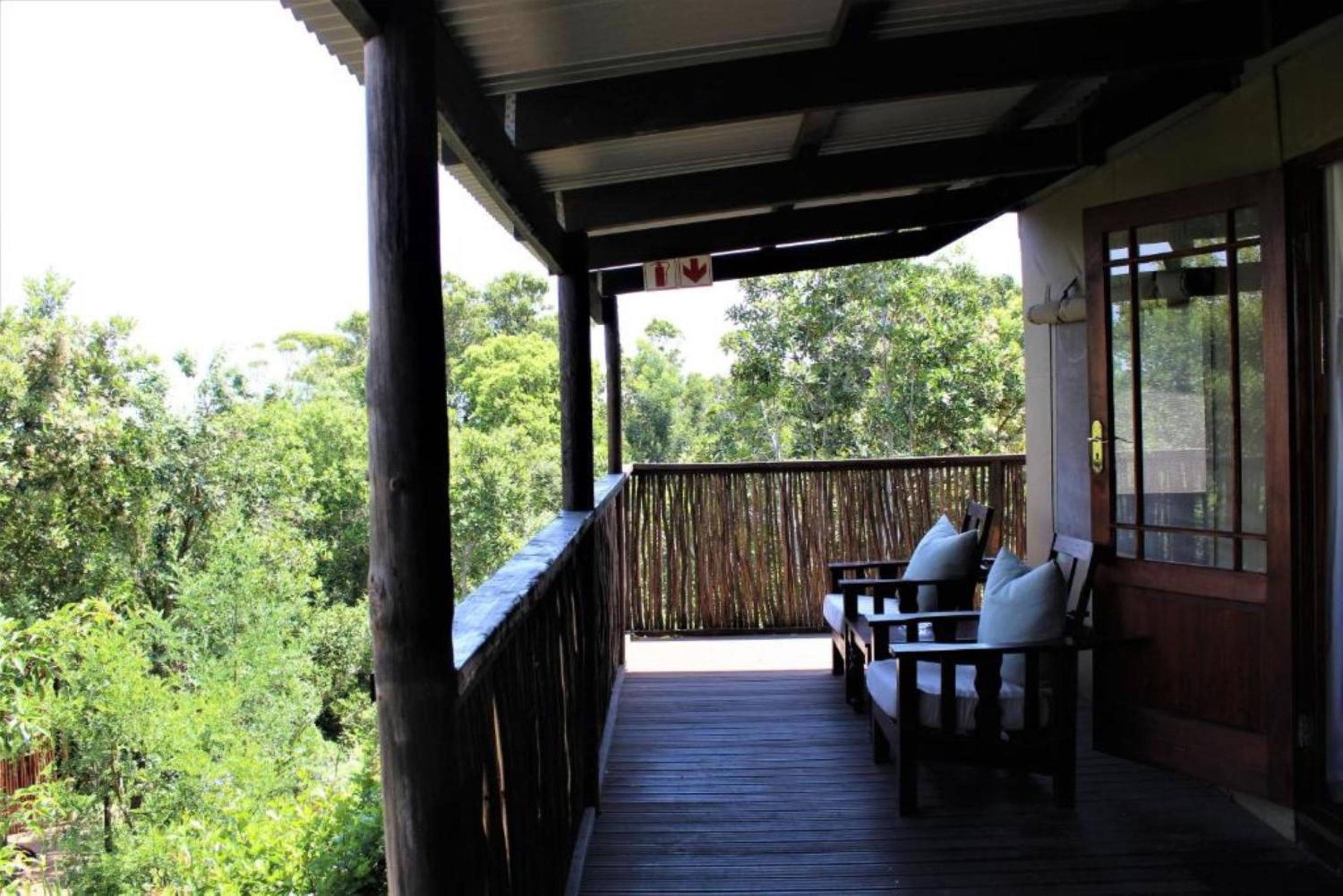 Luxury Tent with Forest View photo 3