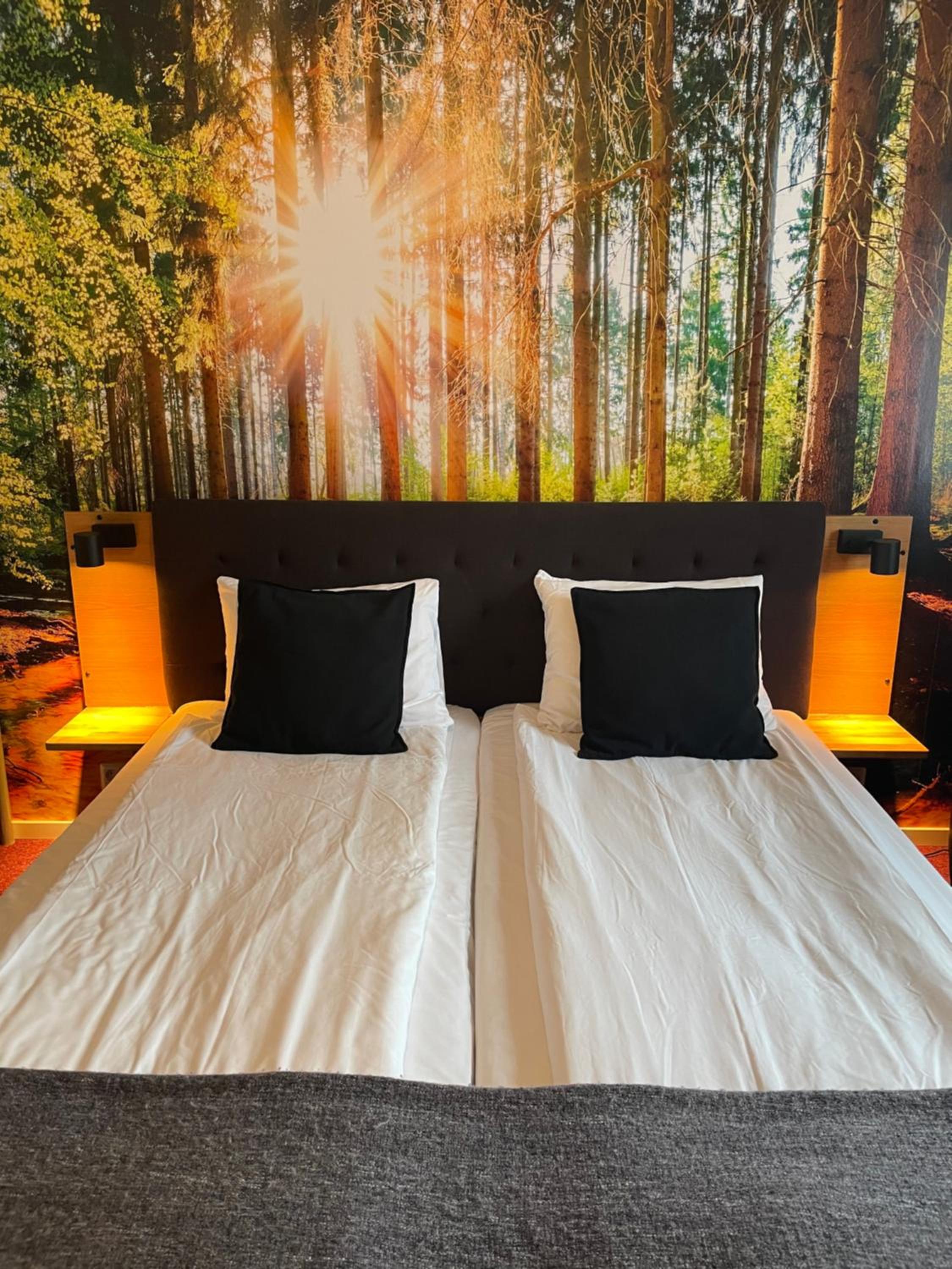 Premium Quadruple Room - Photo 7
