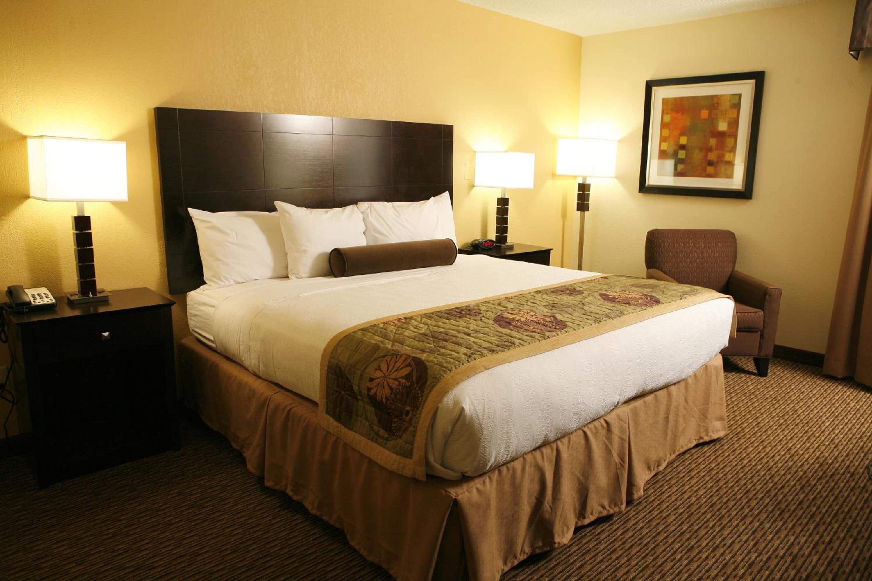 King Room with Bath Tub - Mobility Accessible/Non-Smoking - Photo 6