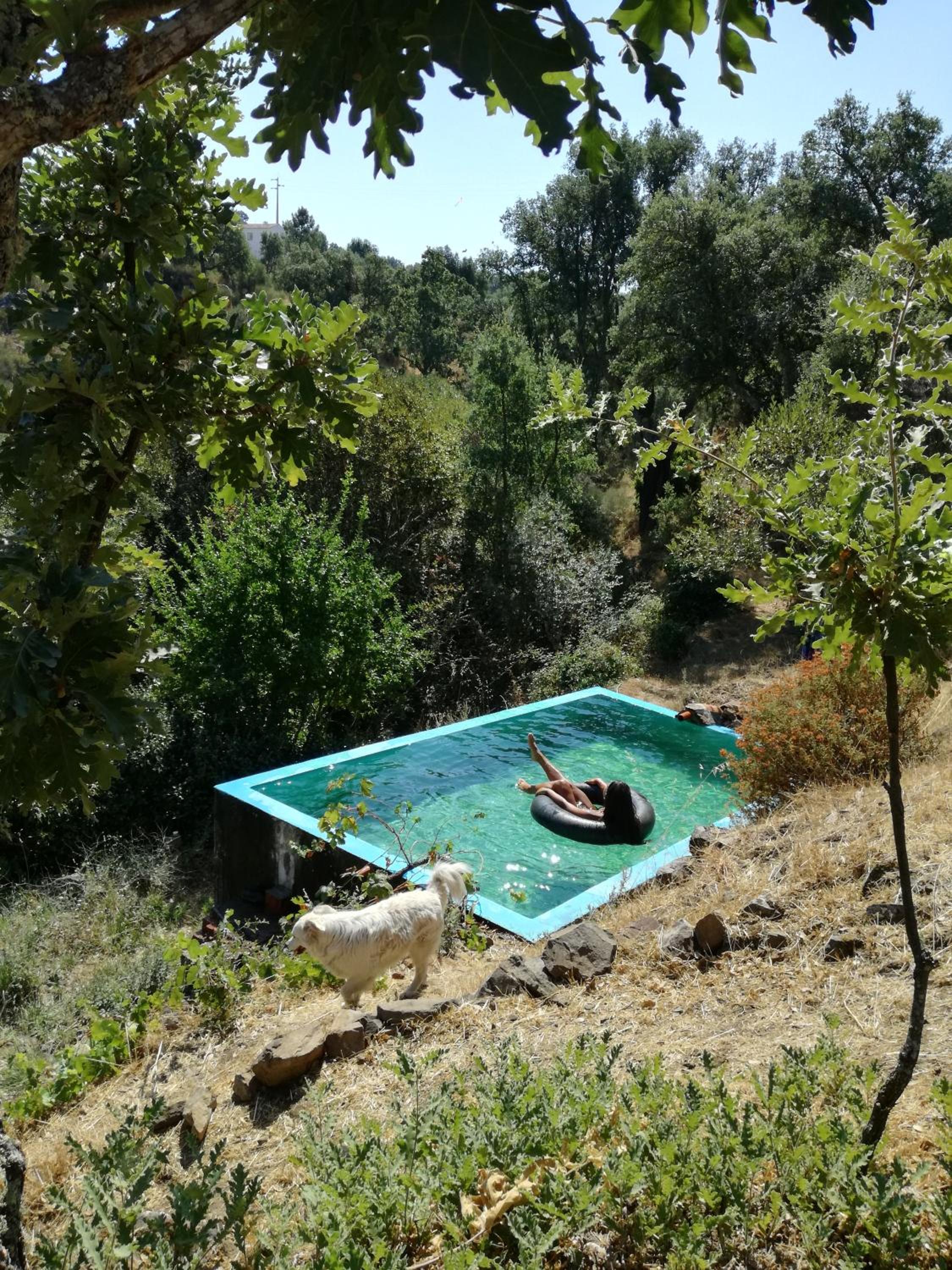 Vacation Home photo 2
