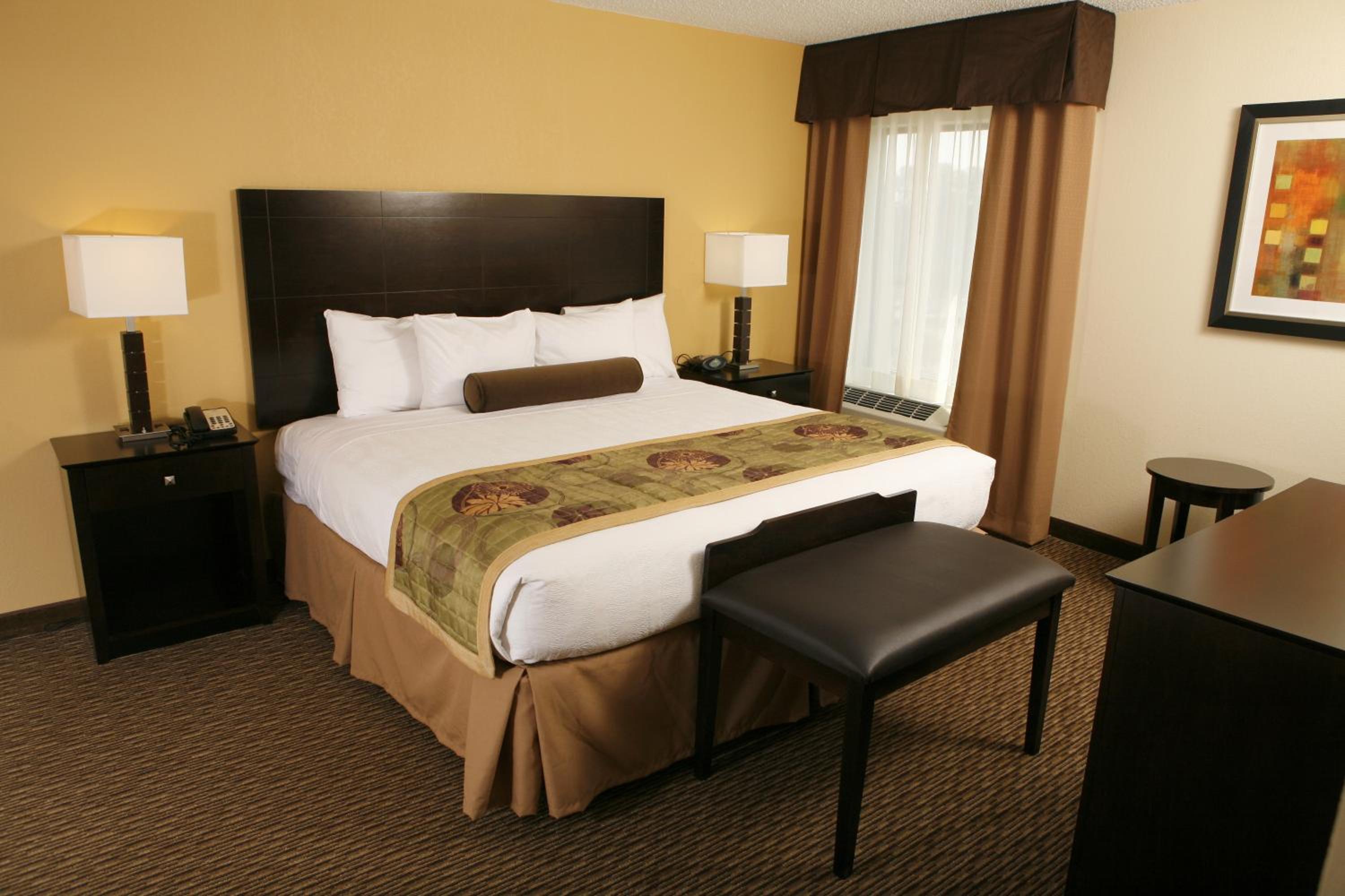 King Room with Bath Tub - Mobility Accessible/Non-Smoking - Photo 7