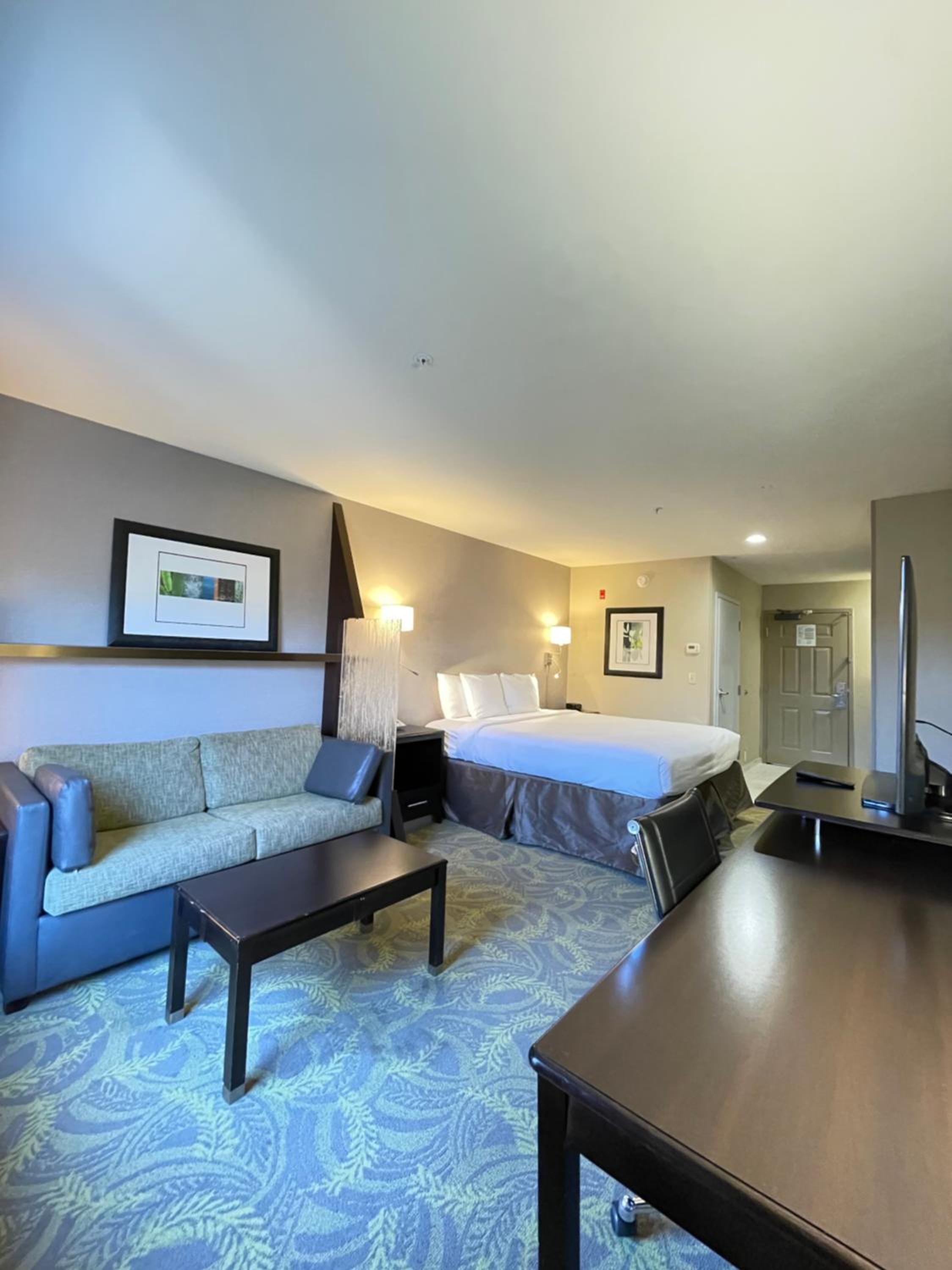 King Studio Suite with Sofa-Bed - Photo 1