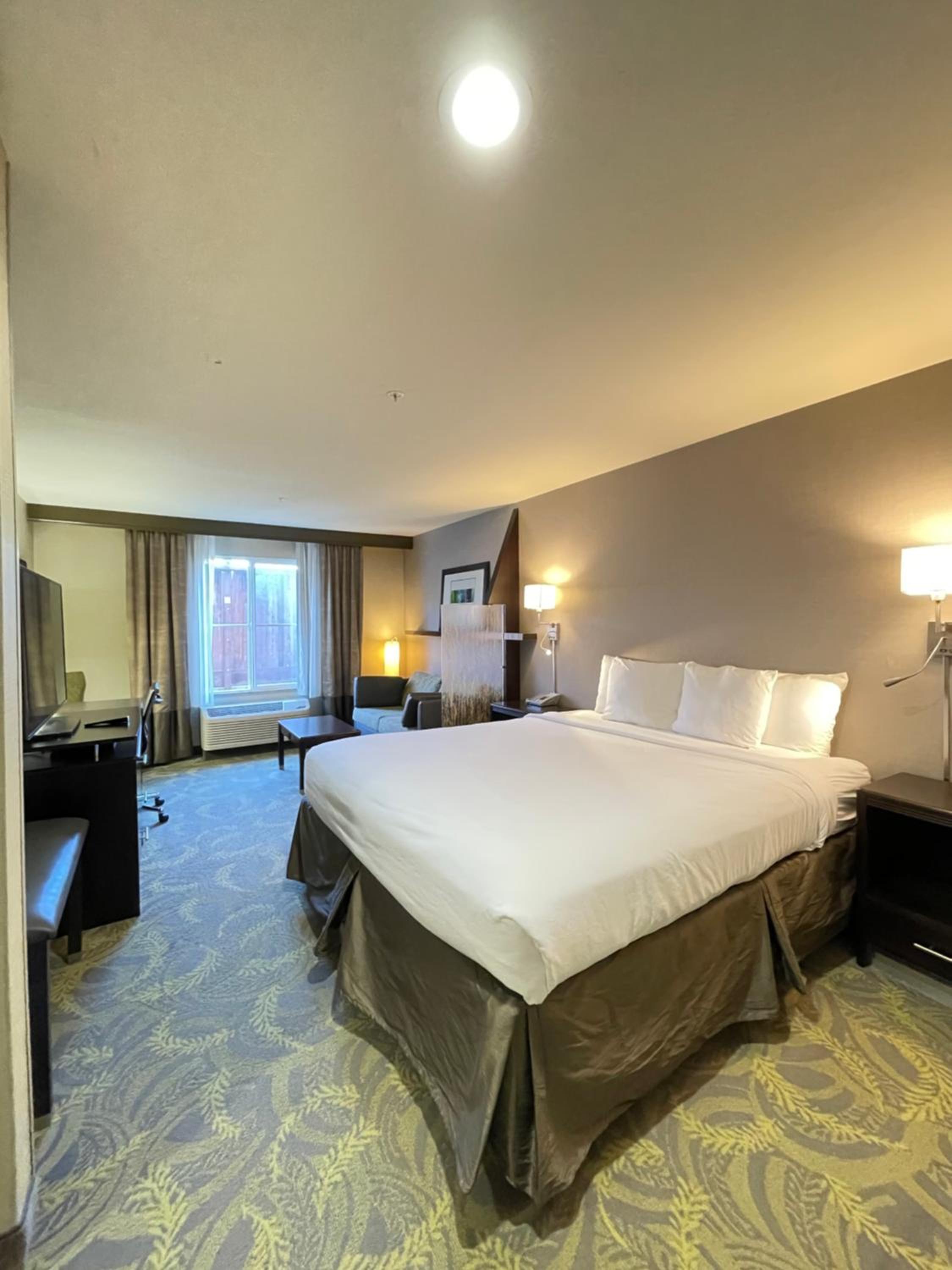 King Studio Suite with Sofa-Bed - Photo 2