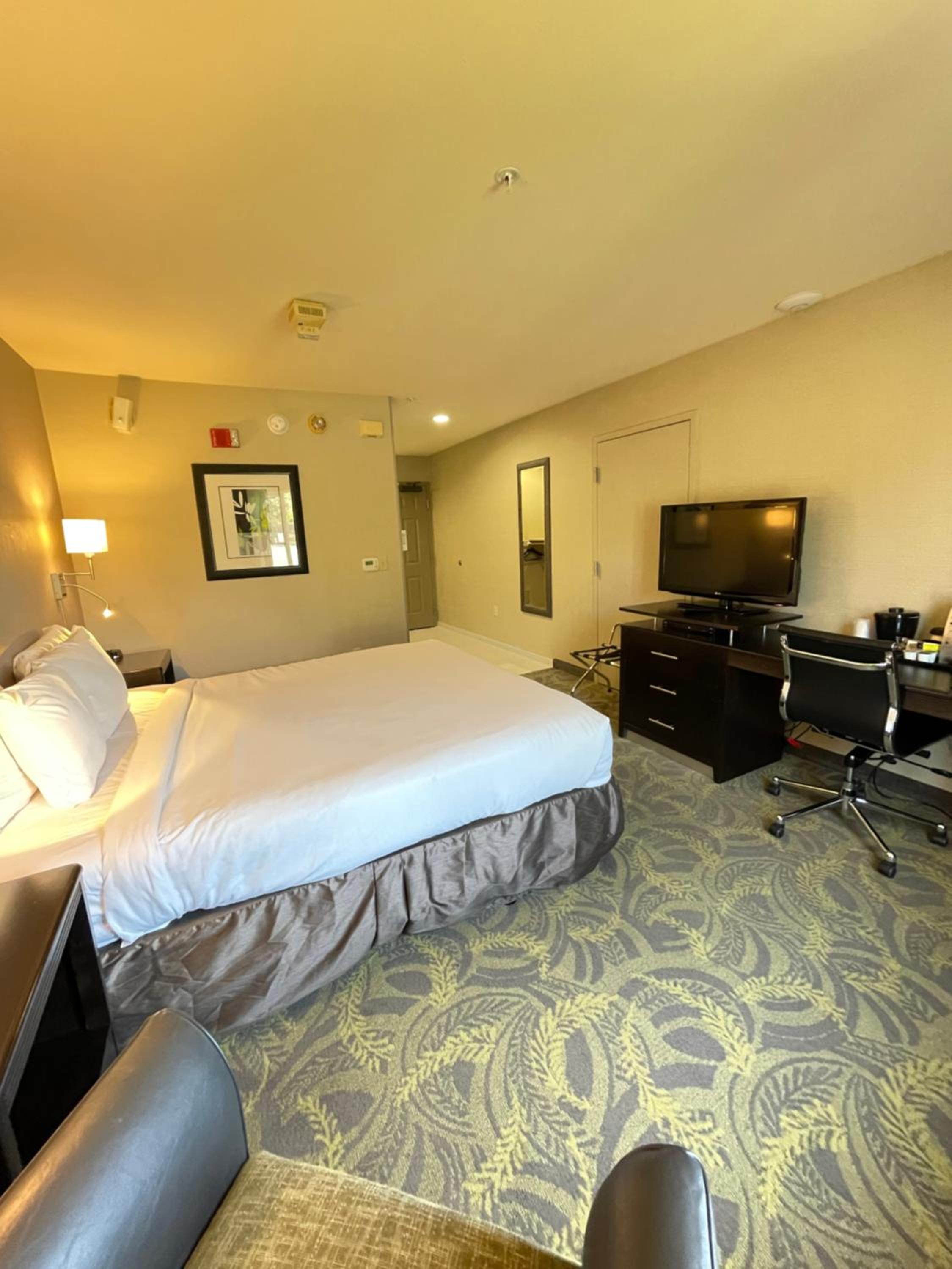 King Room - Disability Access - Photo 2