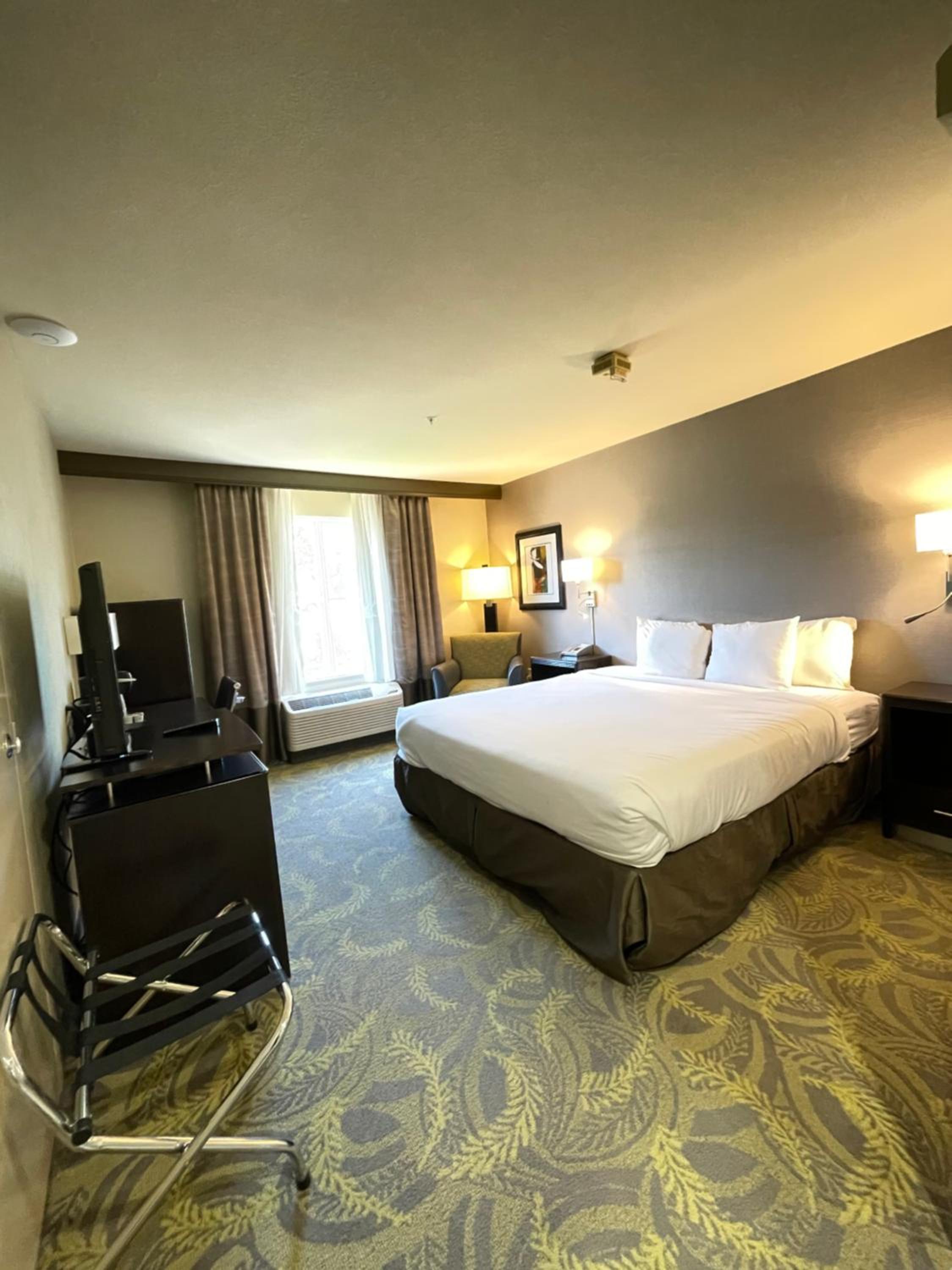 King Room - Disability Access - Photo 1