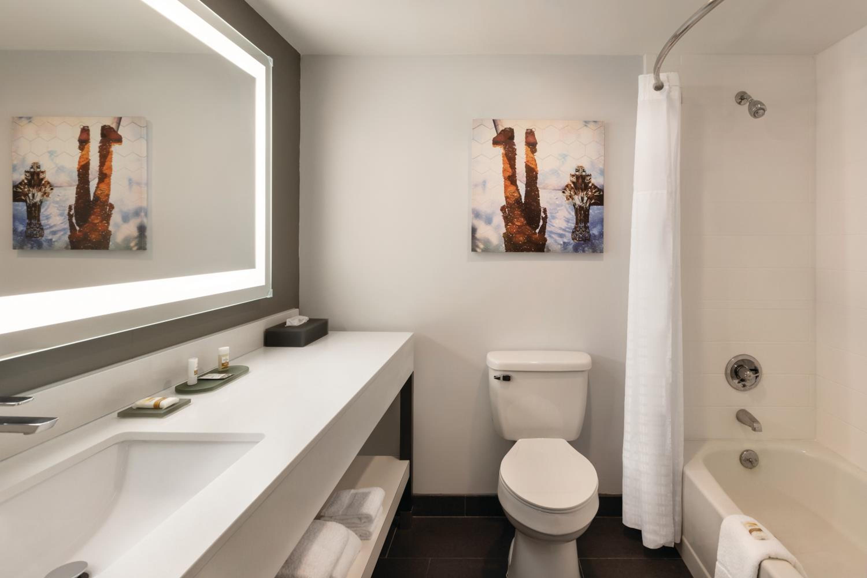 Deluxe King Room - Photo 6