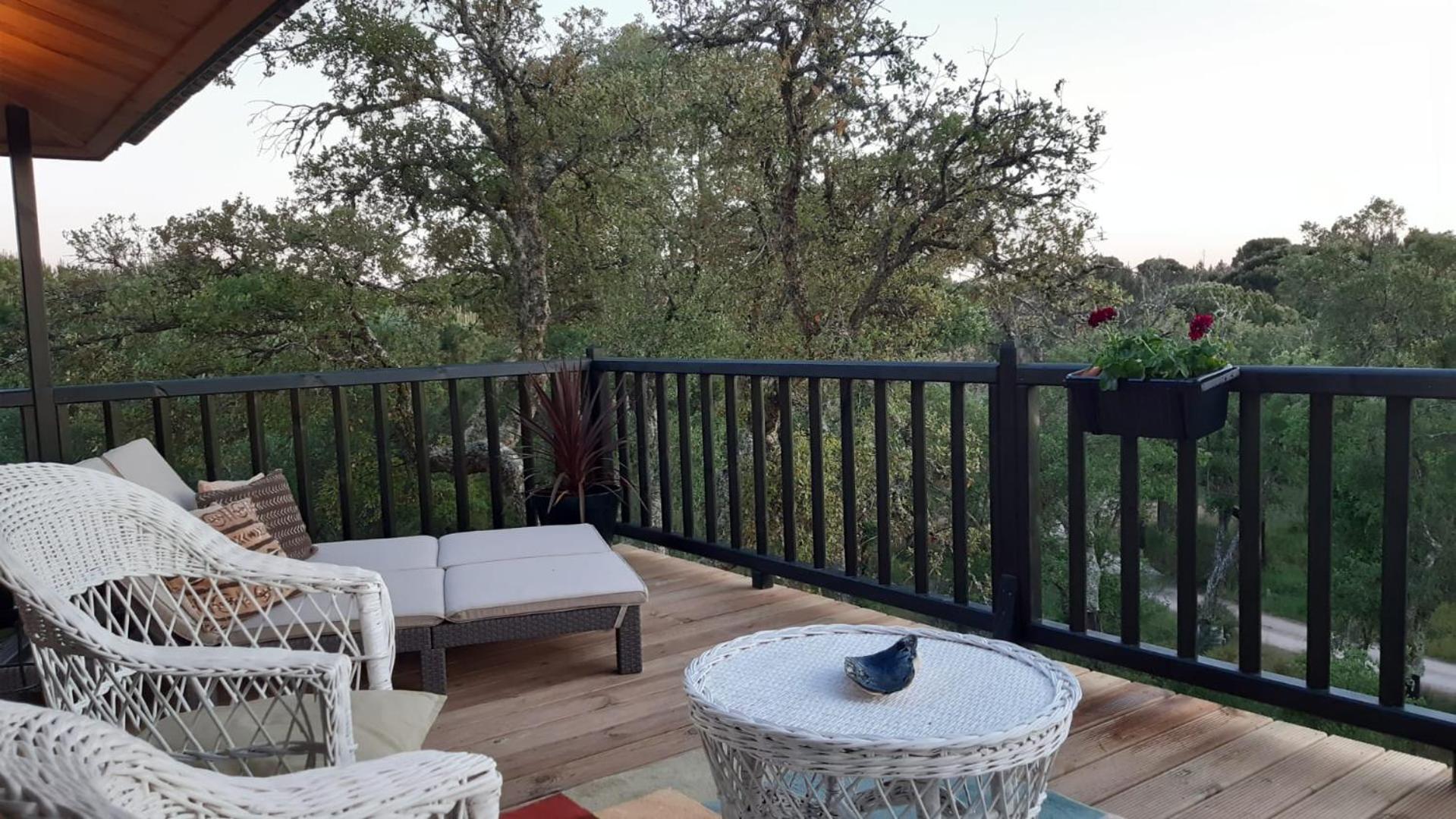 Deluxe Bungalow with Garden View photo 2
