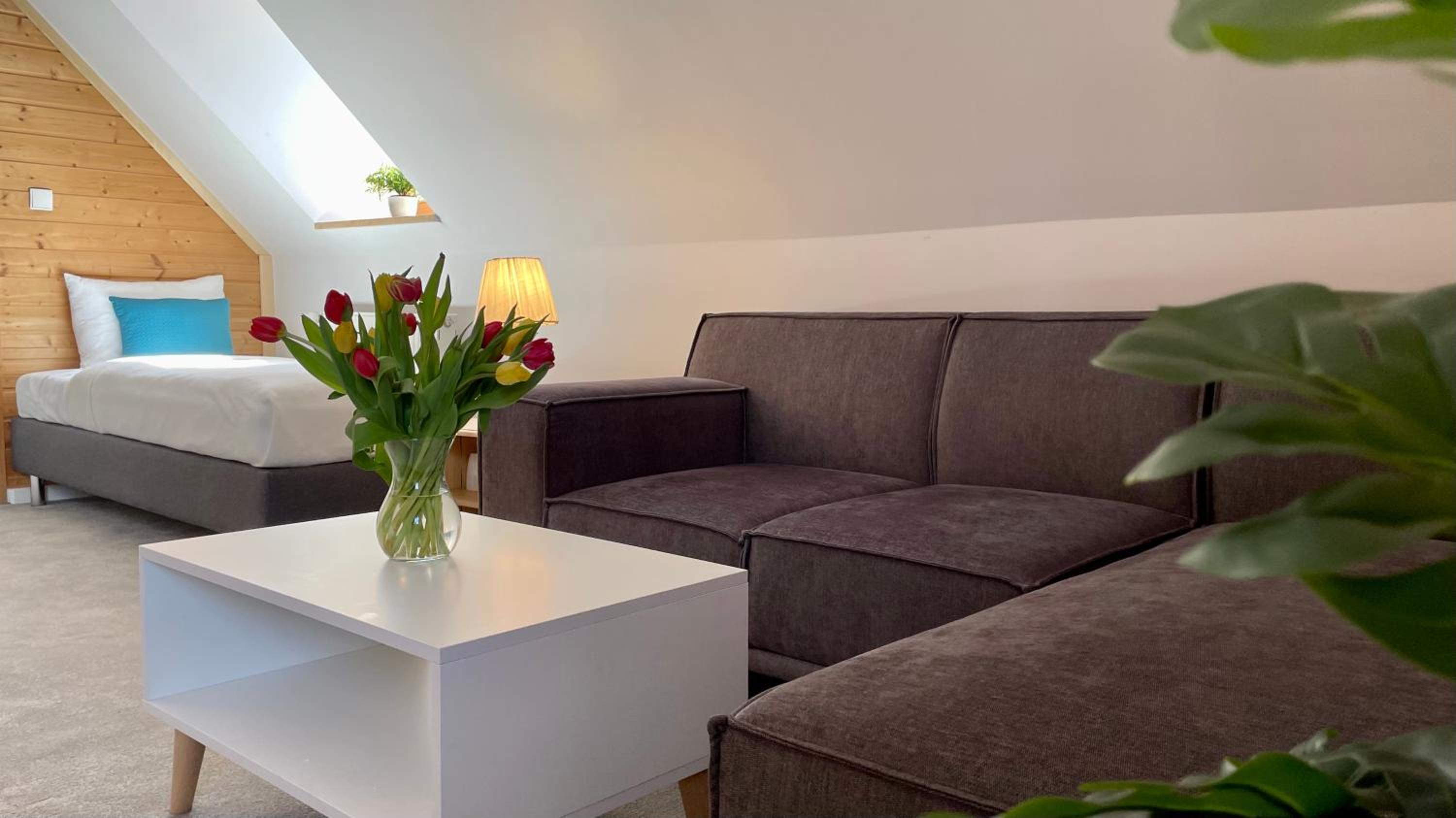 Studio Apartment - Photo 2