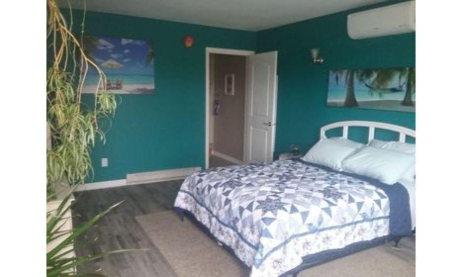 Deluxe Double Room (2 Adults + 1 Child) - Photo 13