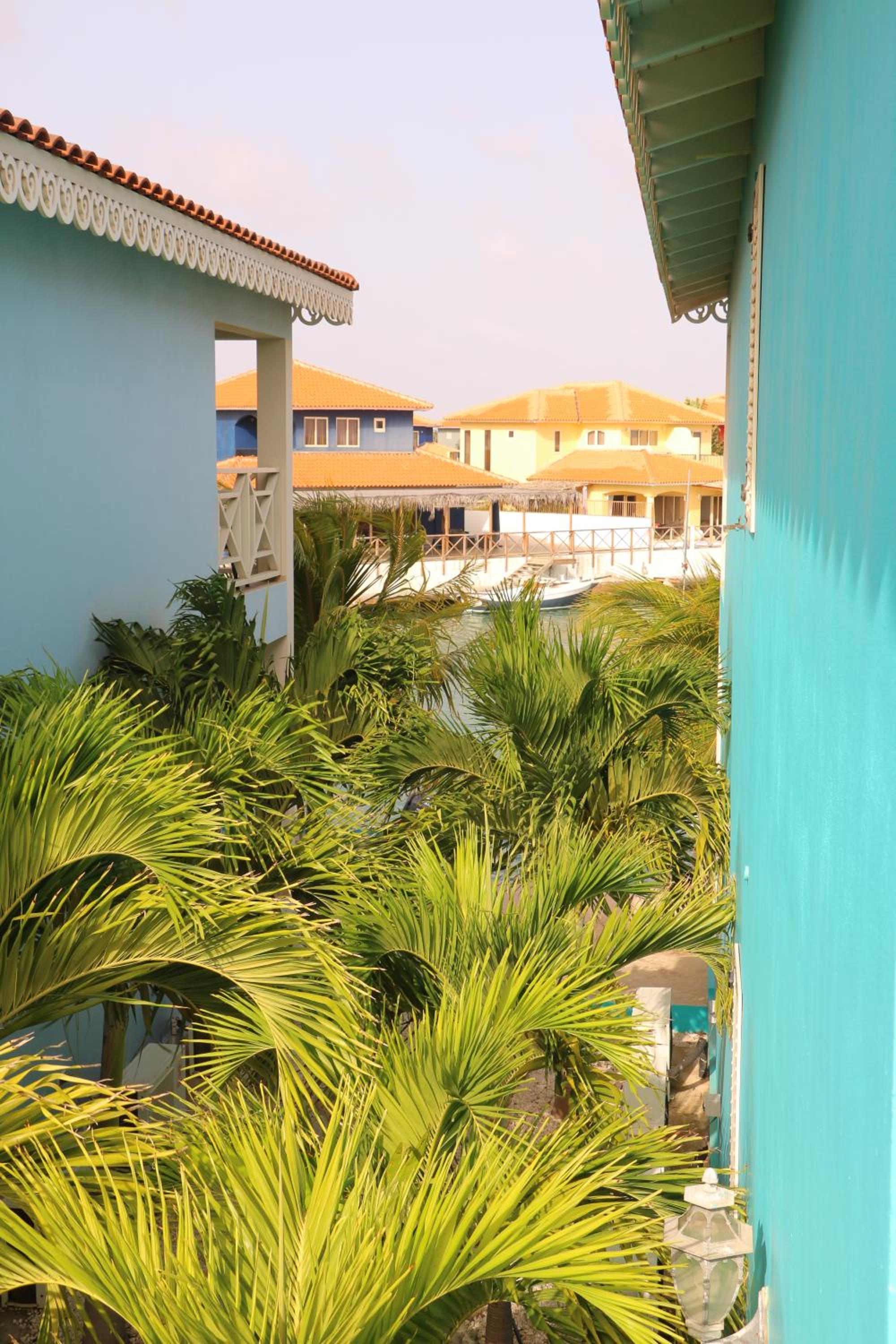 Apartment with Terrace photo 2