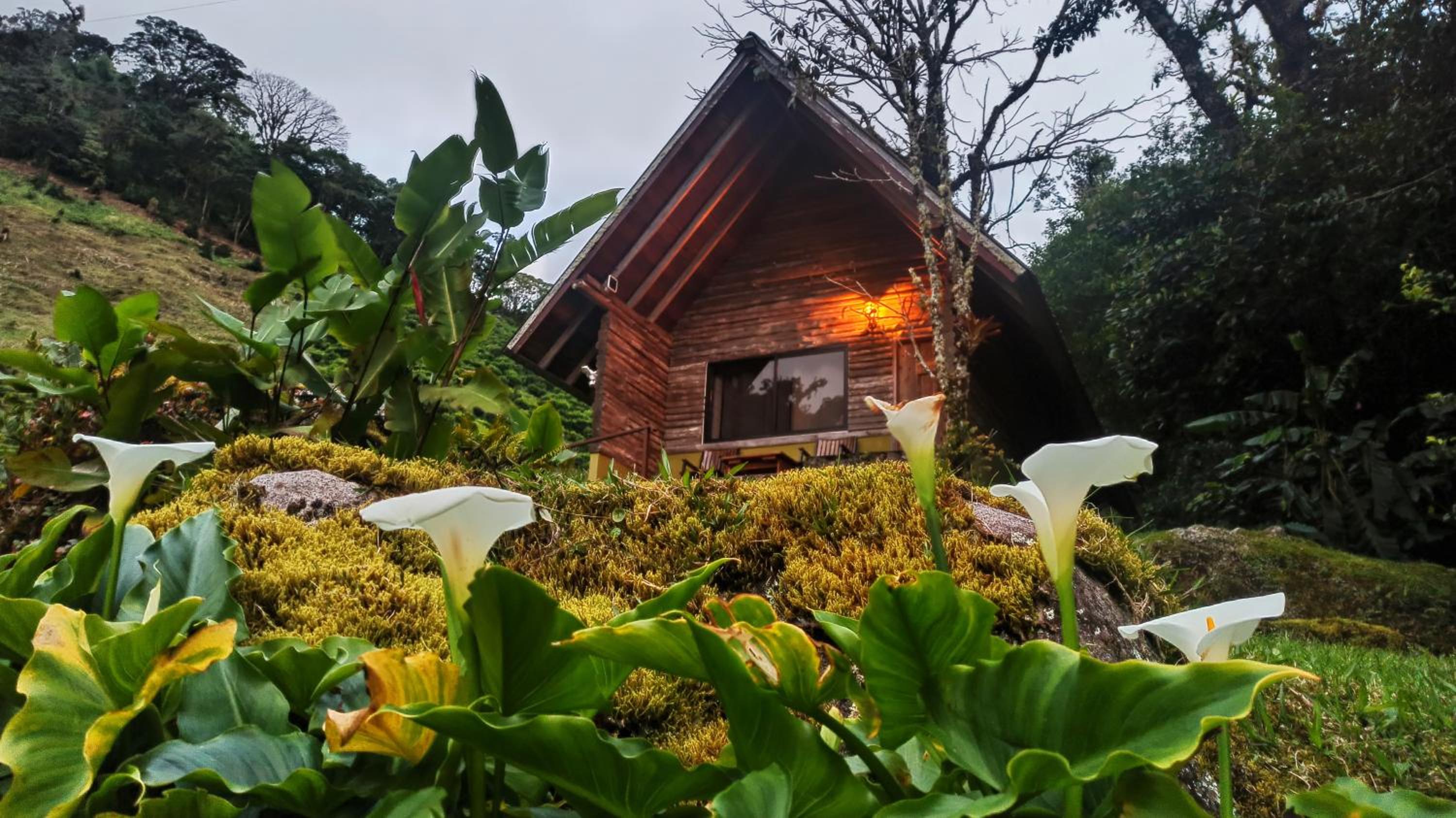 One-Bedroom Cottage