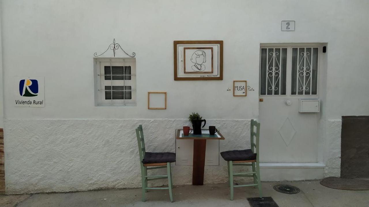 One-Bedroom House photo 3