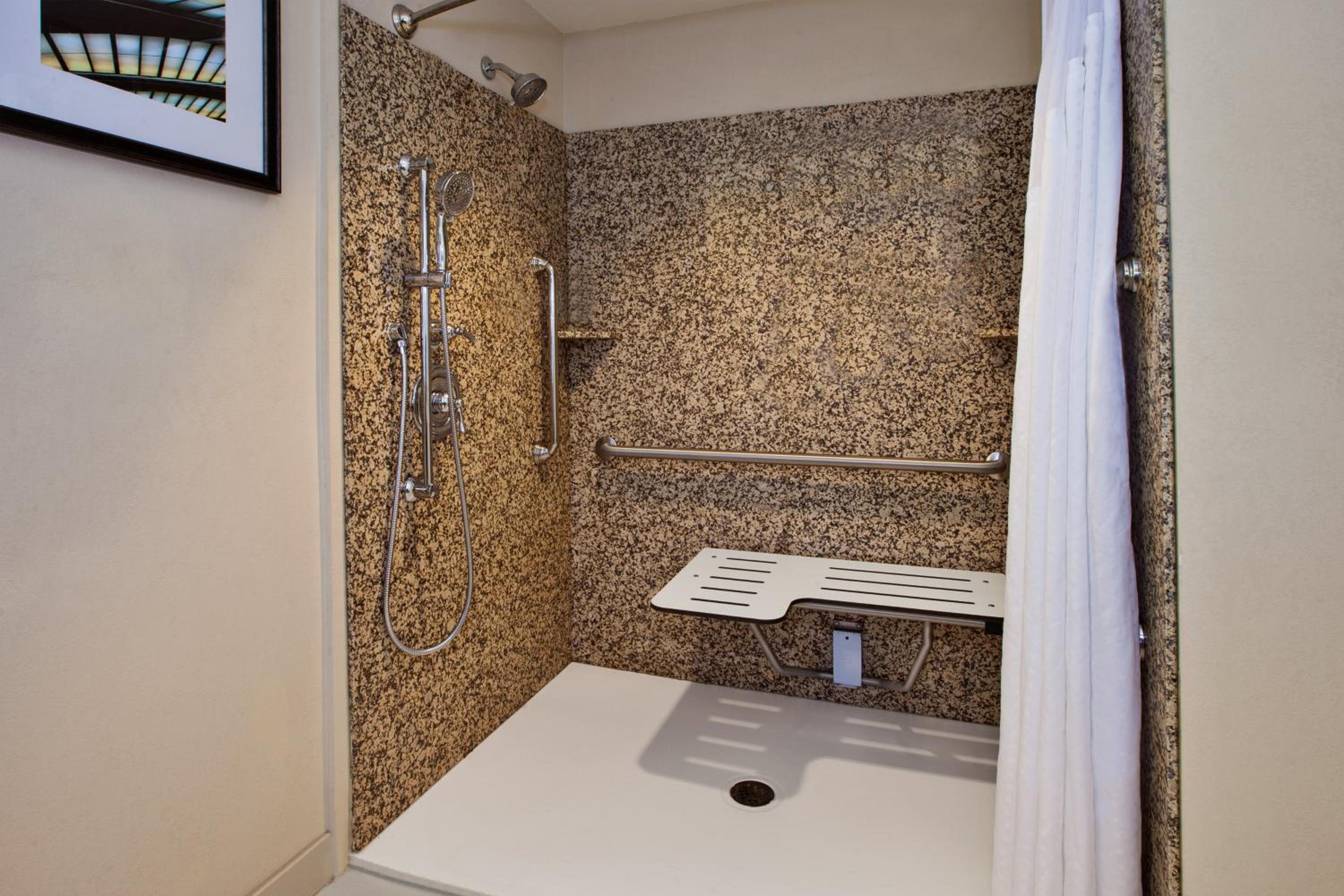 King Suite - Communications and Mobility Accessible Tub