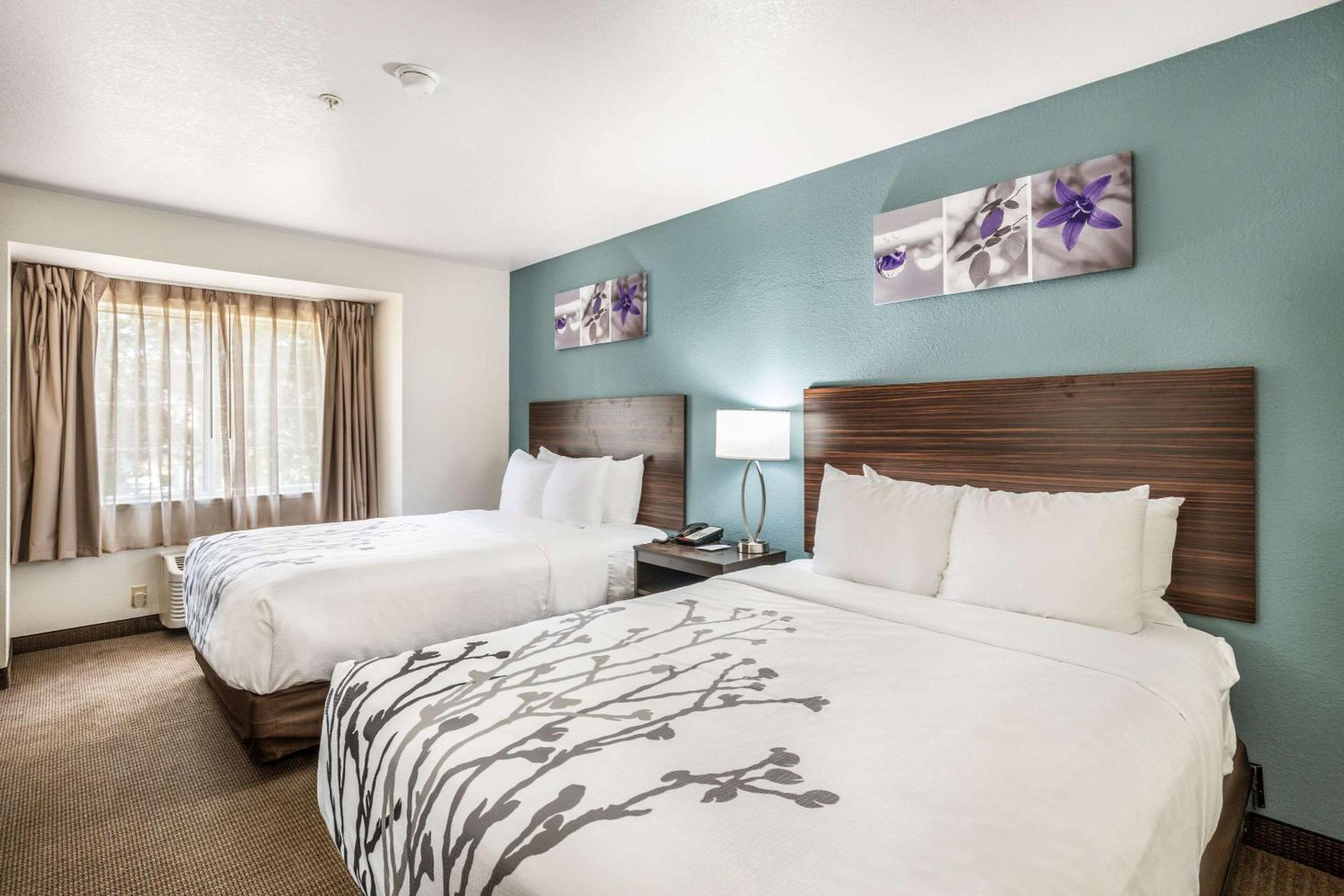 Standard Queen Room with Two Queen Beds - Non Smoking  - Photo 11