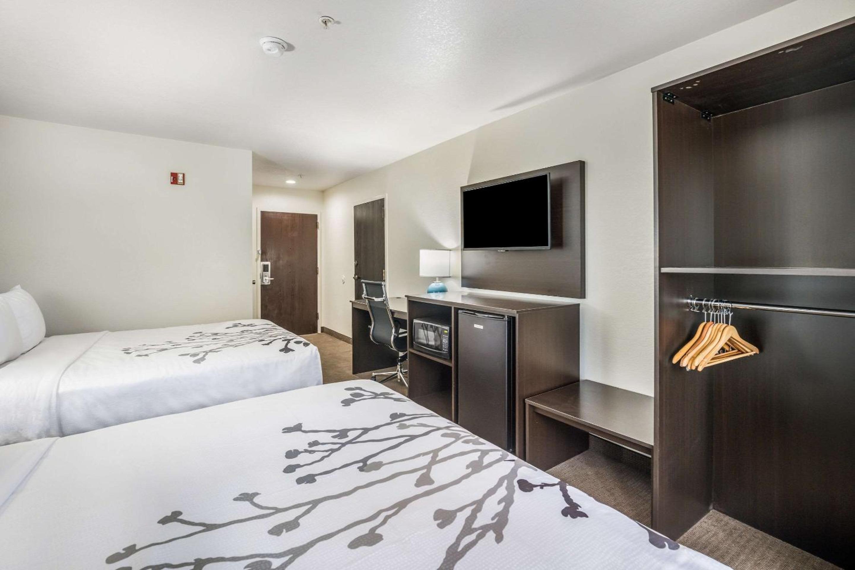 Standard Queen Room with Two Queen Beds - Non Smoking  - Photo 9