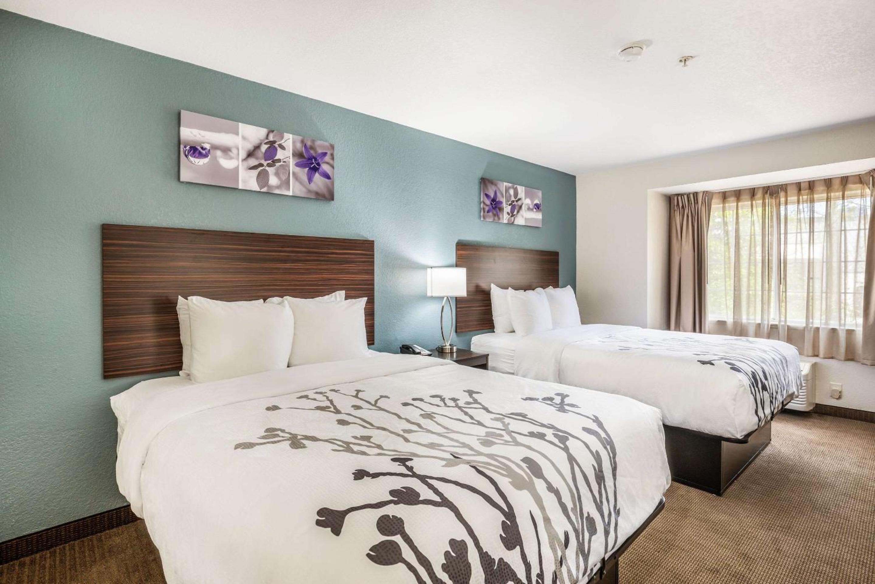 Standard Queen Room with Two Queen Beds - Non Smoking  - Photo 8